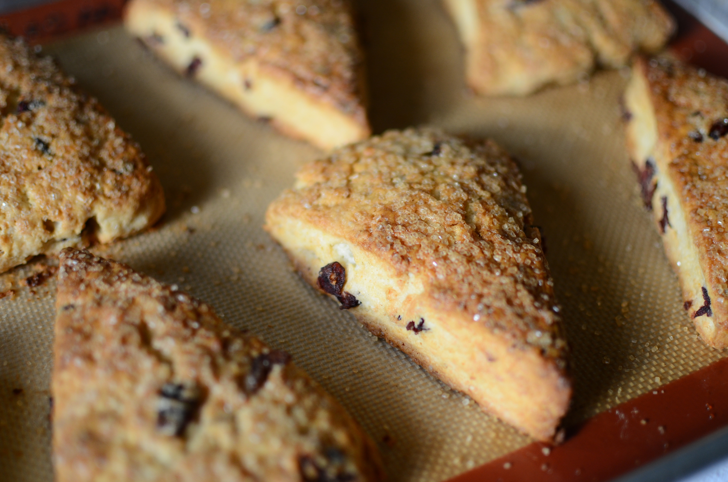 Bake for 20-25 minutes. 