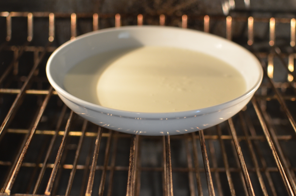 Zeeanemoon stel je voor veel plezier DIY Authentic Clotted Cream — ButterYum — a tasty little food blog Zeeanemoon stel je voor veel plezier DIY Authentic Clotted Cream — ButterYum — a tasty little food blog