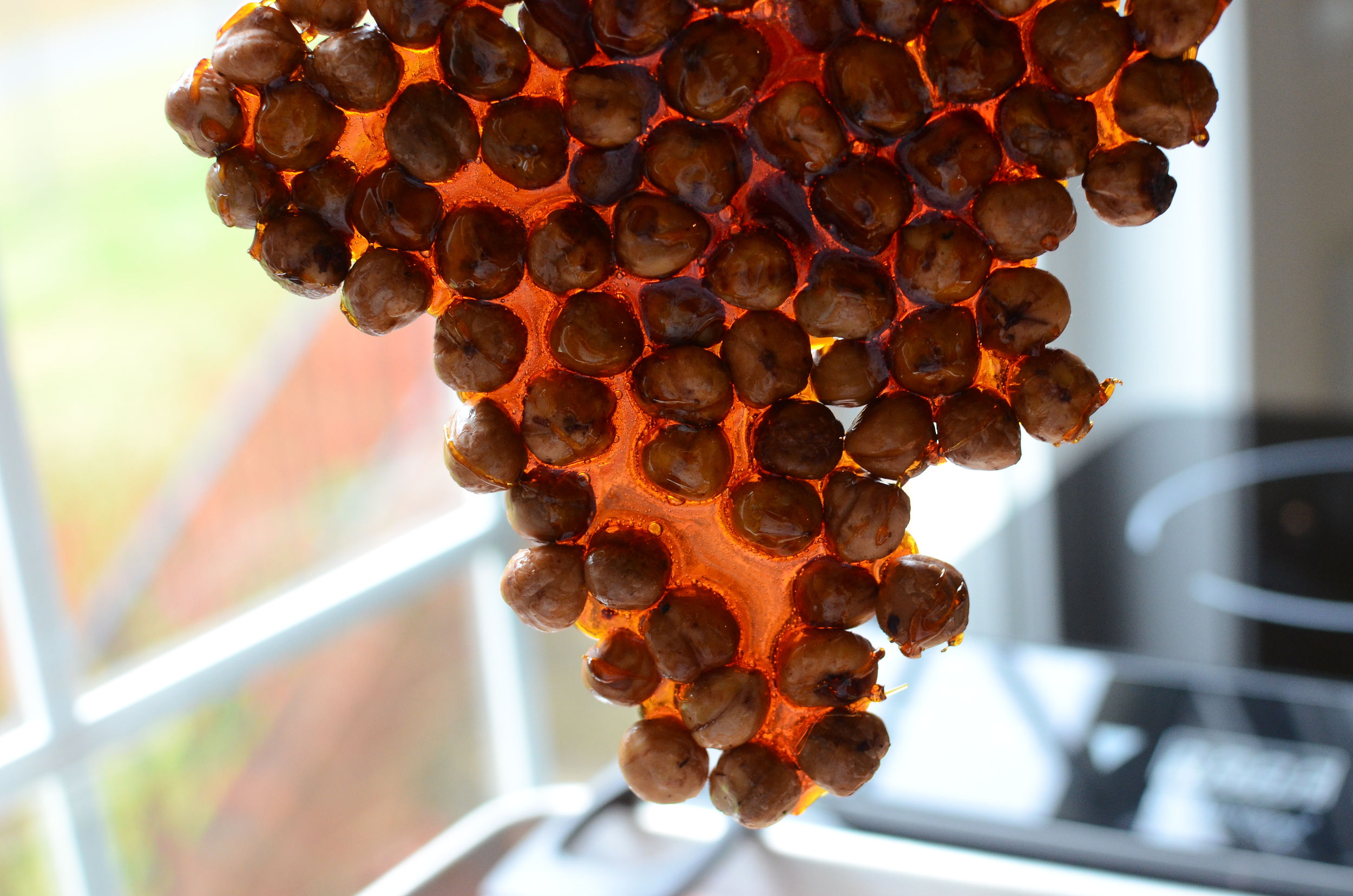 Hazelnut Praline - ButterYum