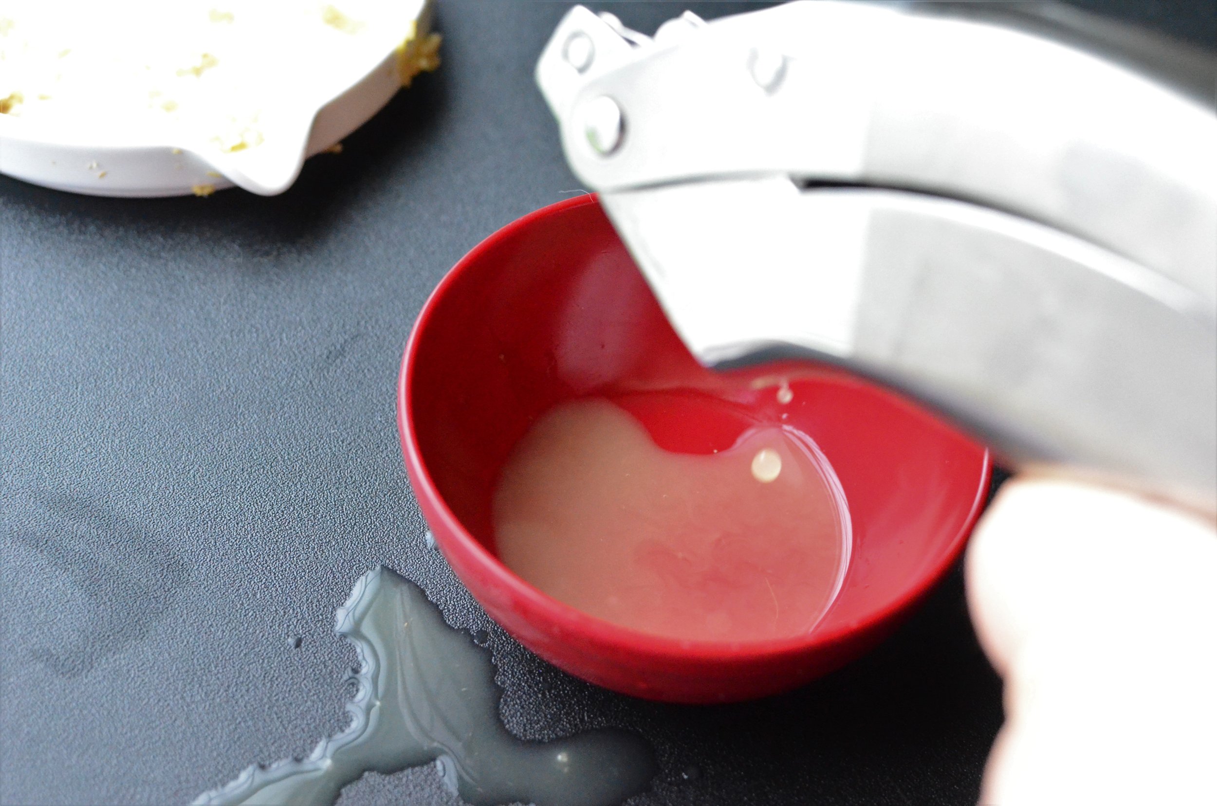 how to make ginger milk pudding