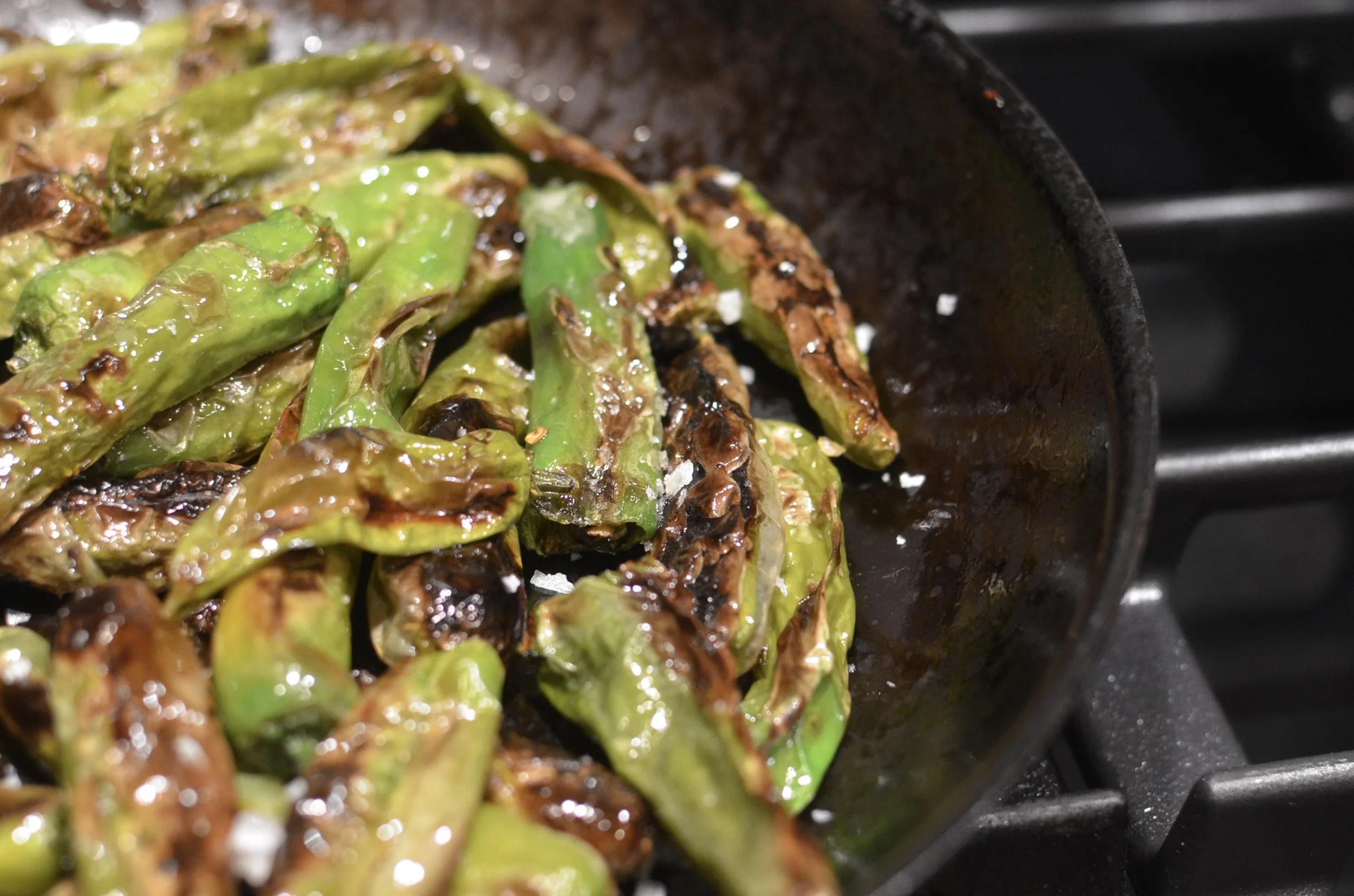 Charred Shishito Peppers