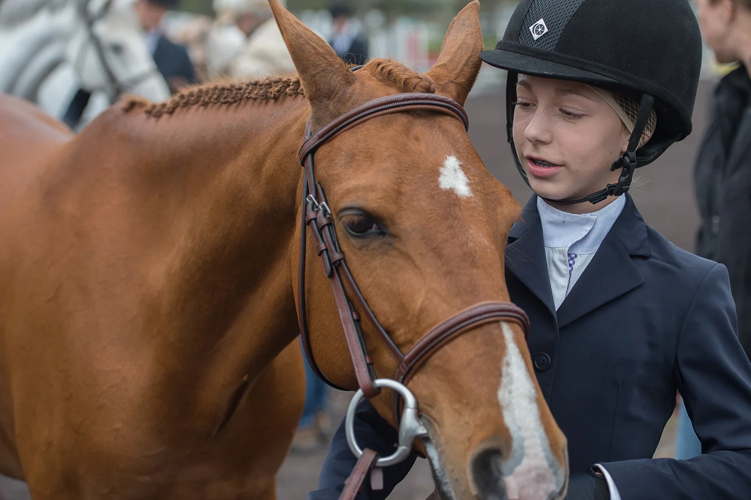 horse06.jpg