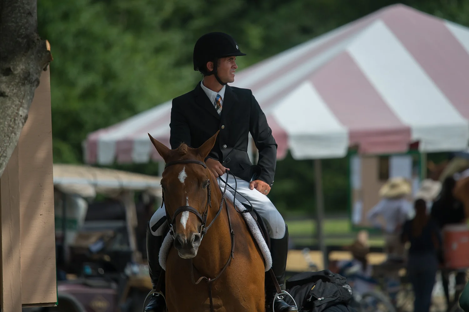 horse08.jpg