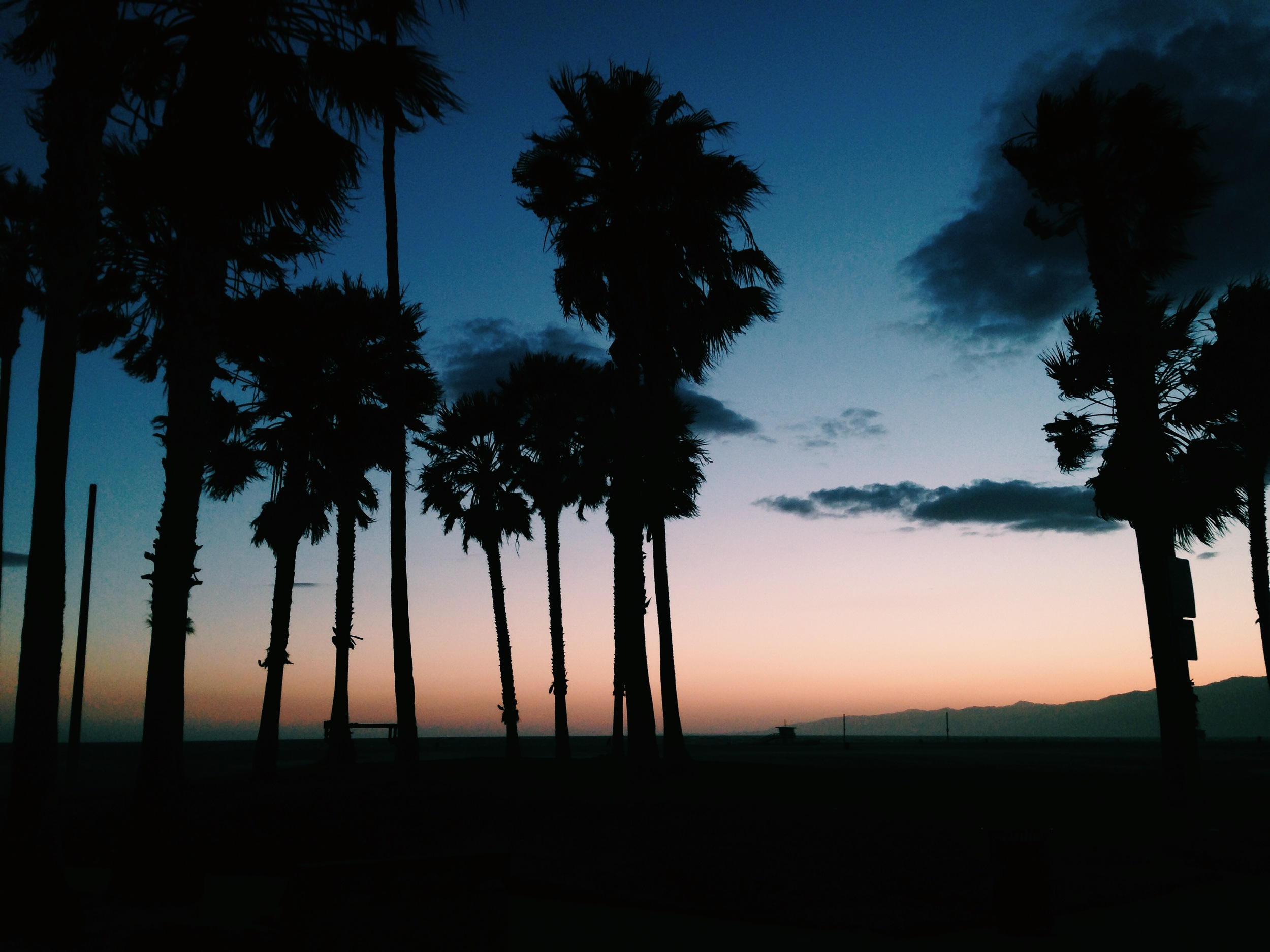 // in the eve @venicebeach