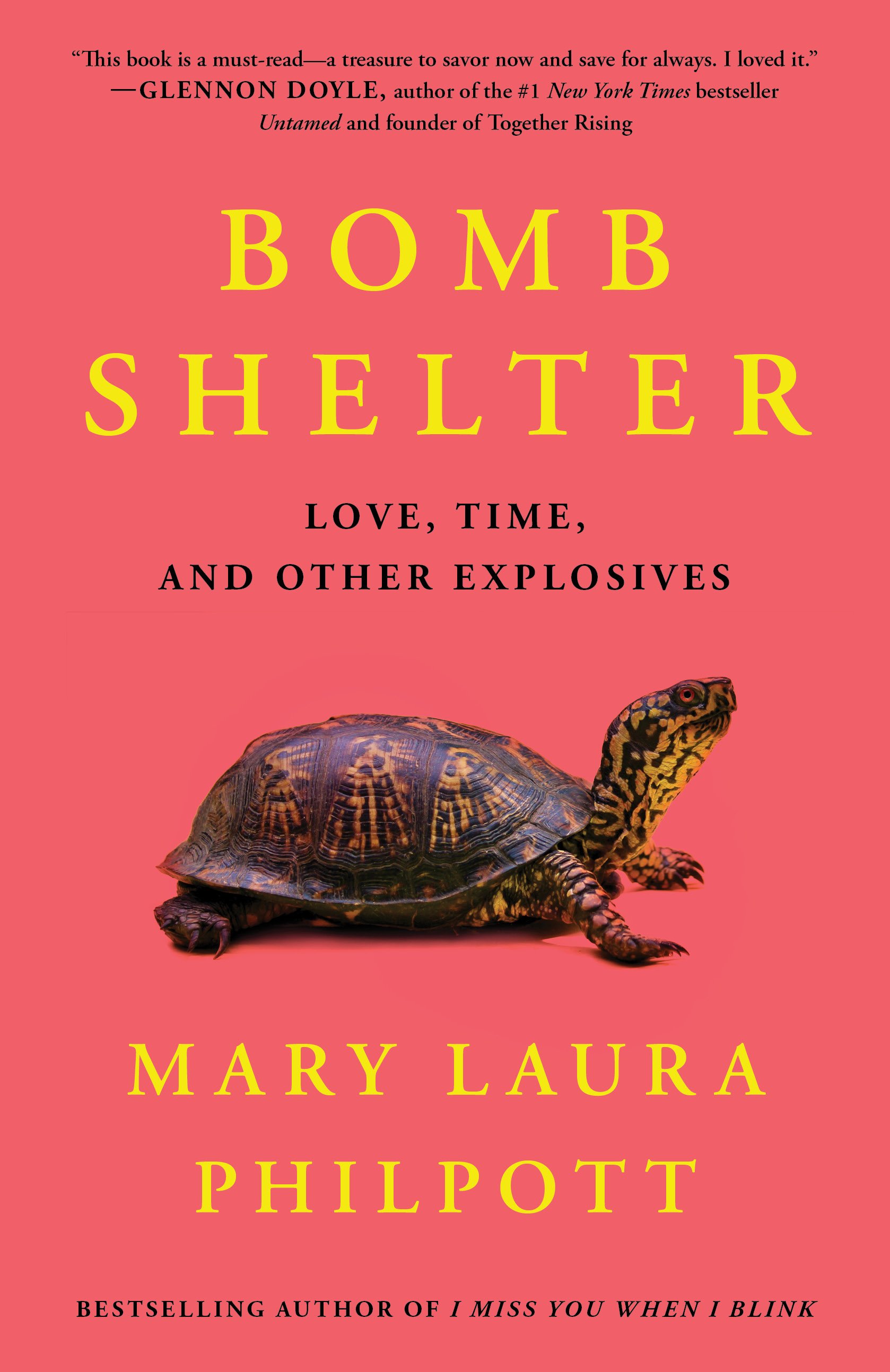 BOMB SHELTER COVER NEW.jpg