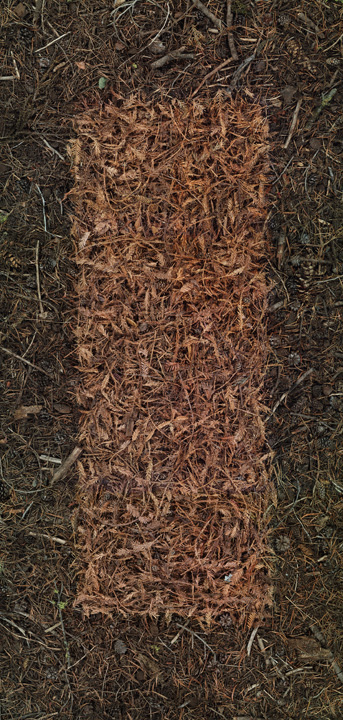 Inlay 4, 2001