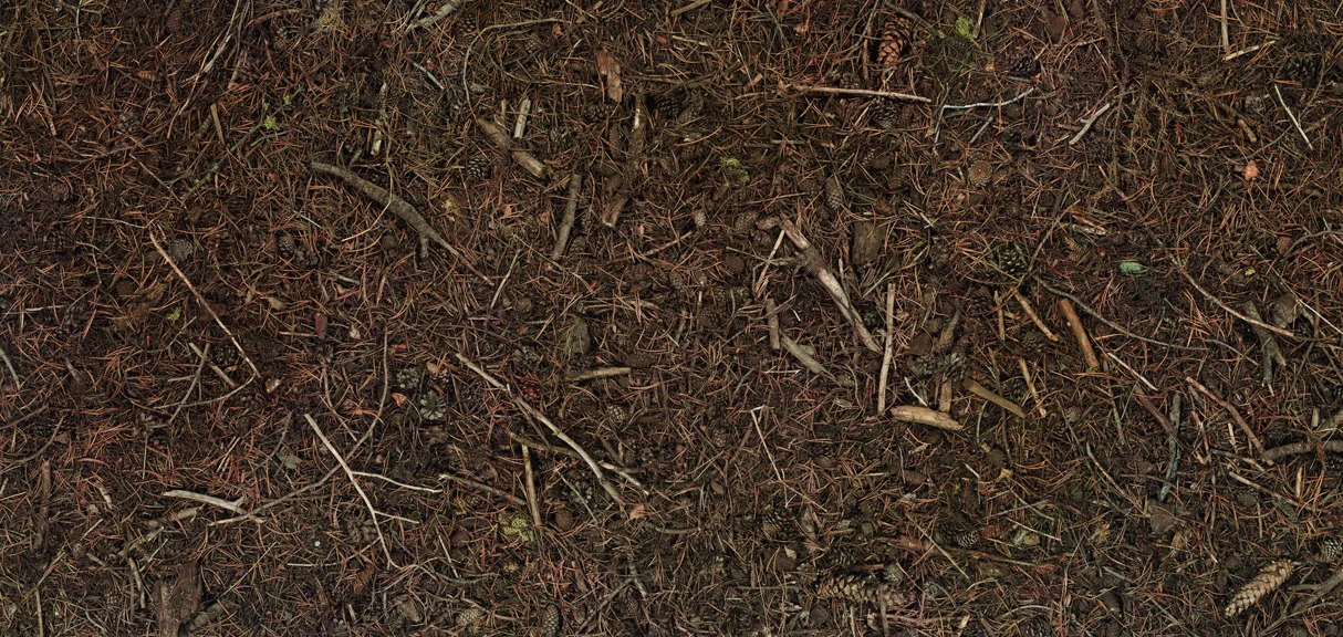 Sierra, 2001