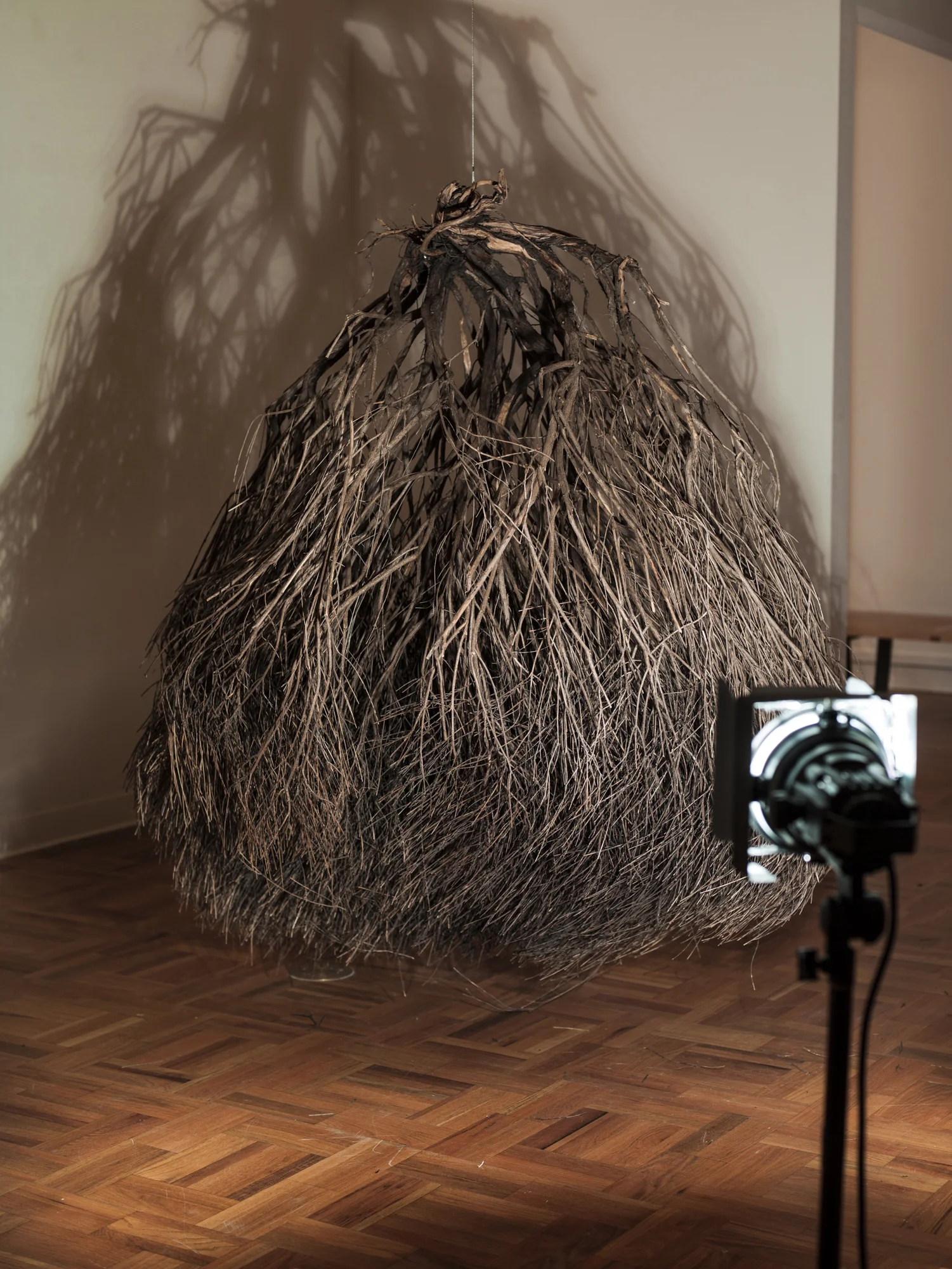 Klotho: The Spinner, 2013