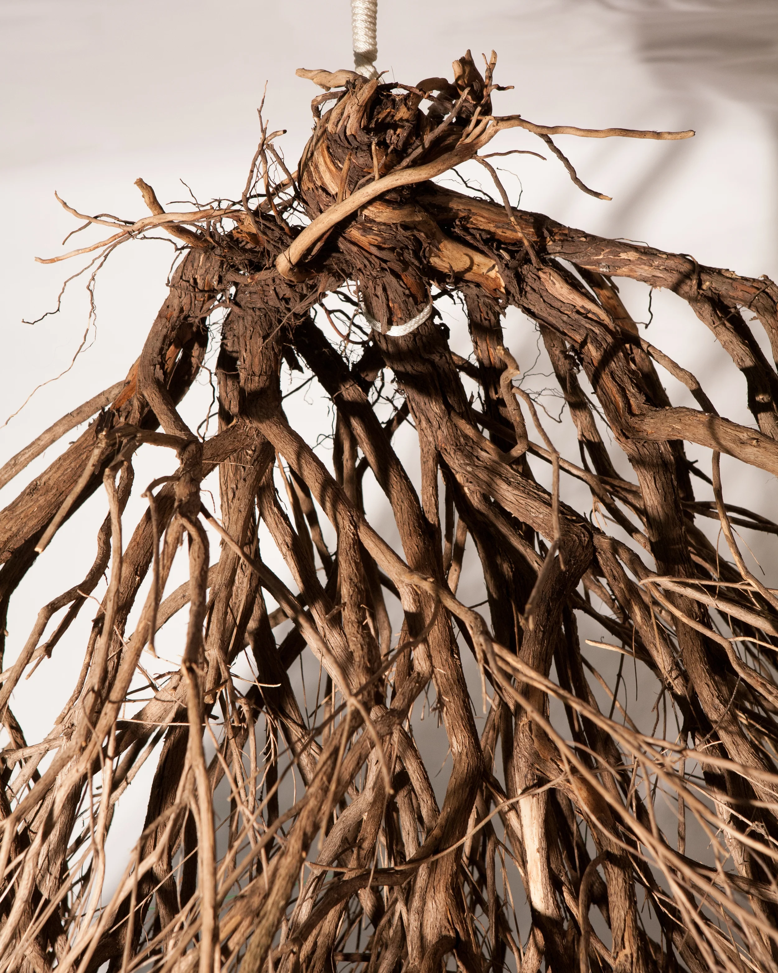 Klotho: The Spinner, 2013