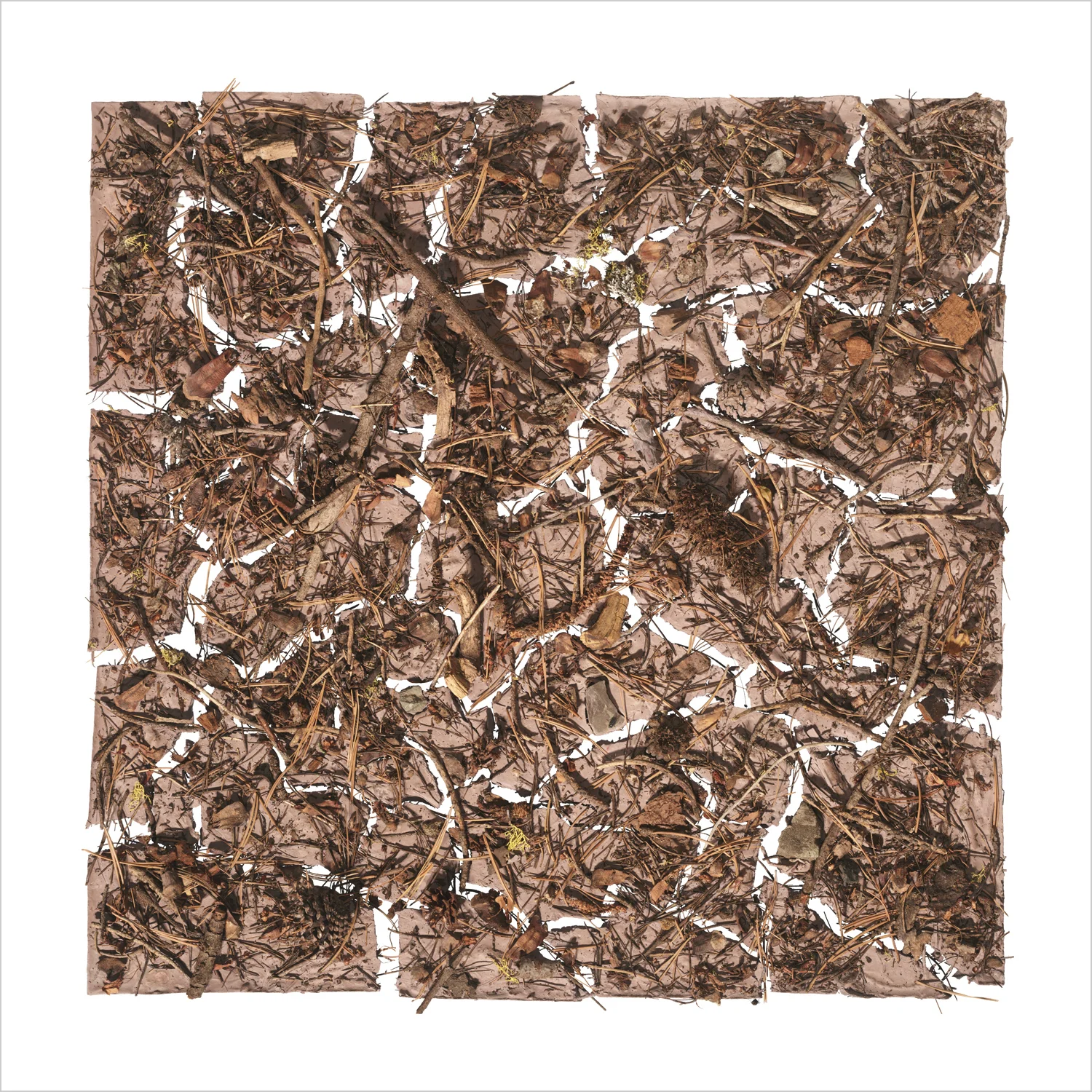 Terra Perfecta 1, 2013
