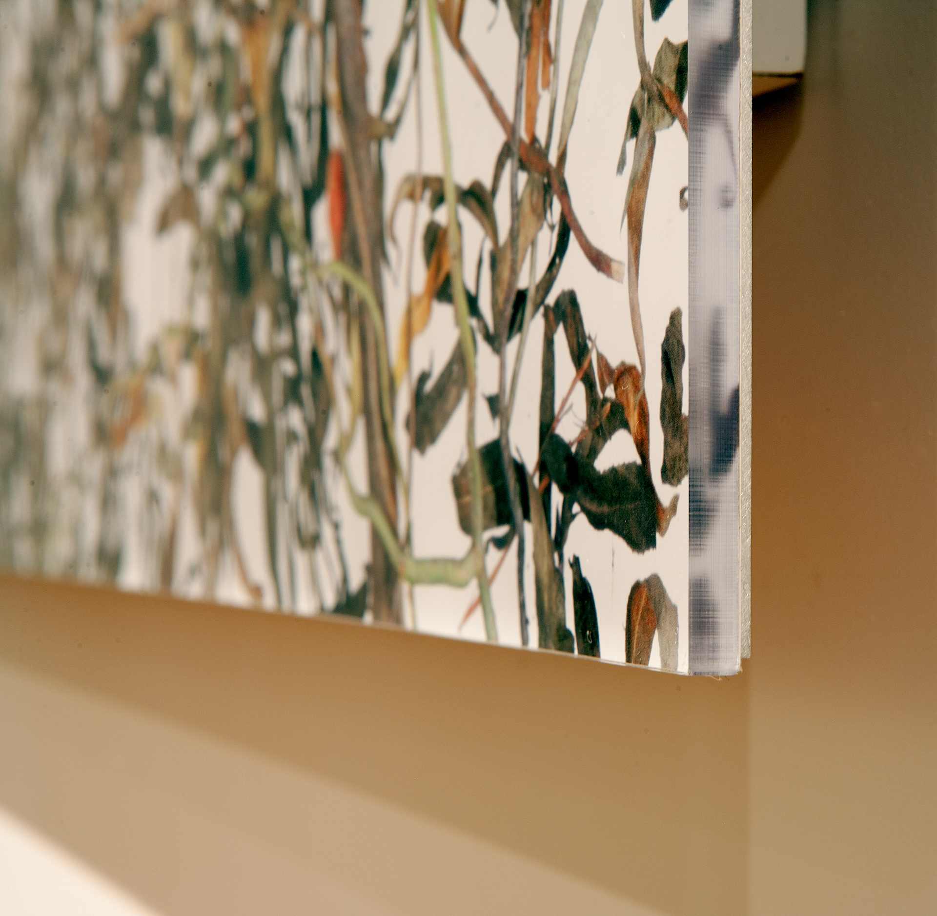 Corkscrew, 2014, mount detail