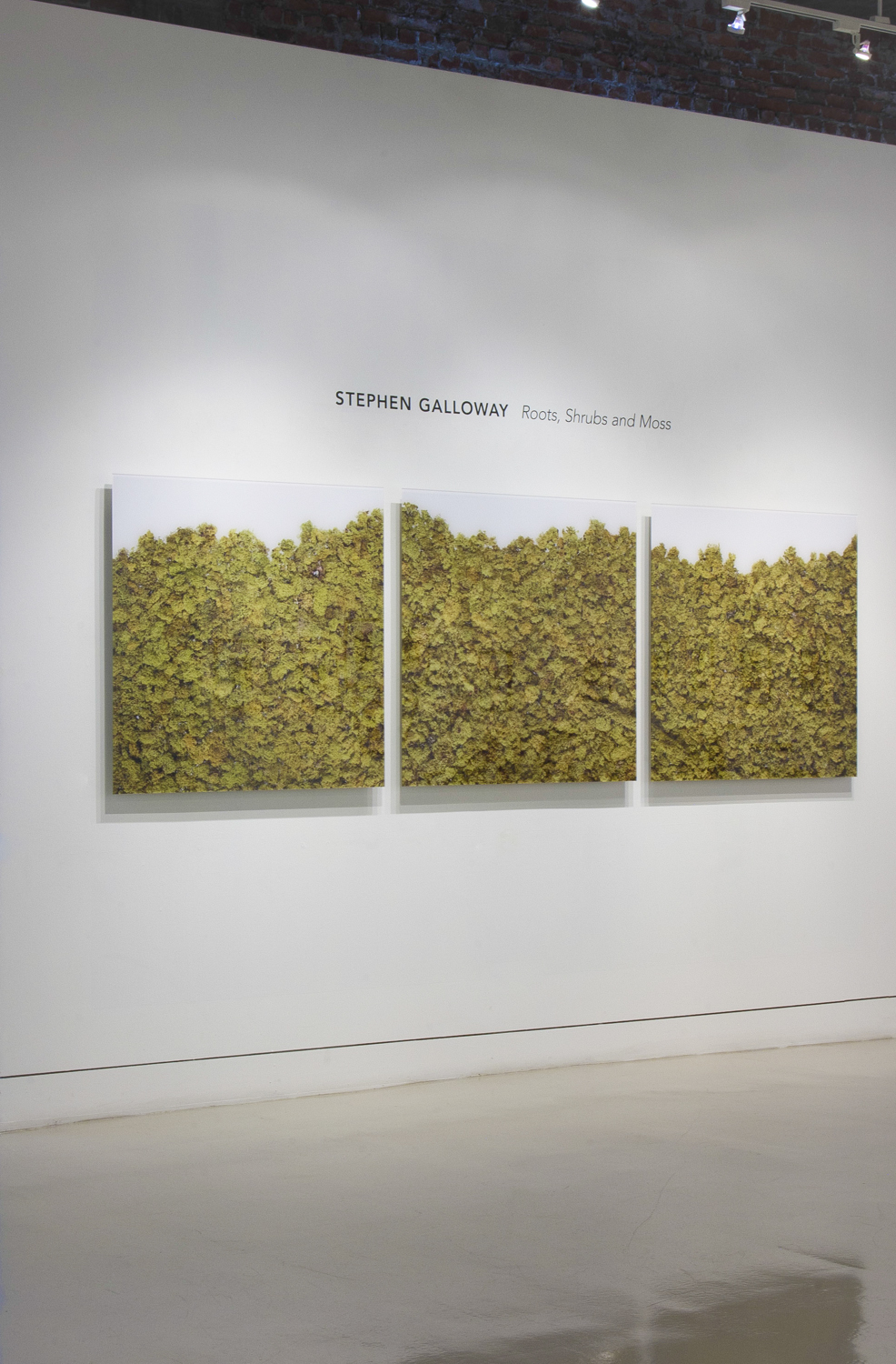 Offing, 2001, in exhibition