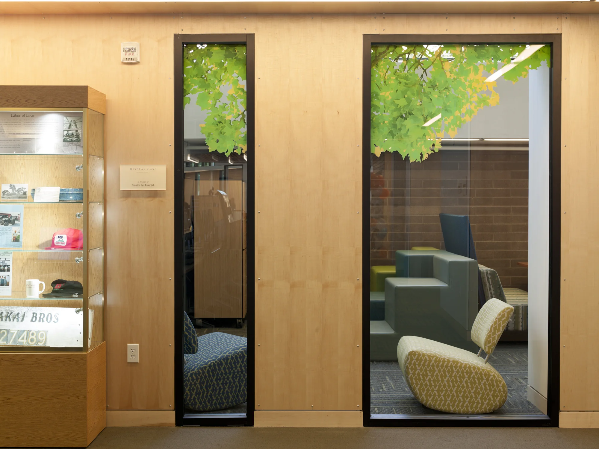 San Lorenzo Suite, 2015