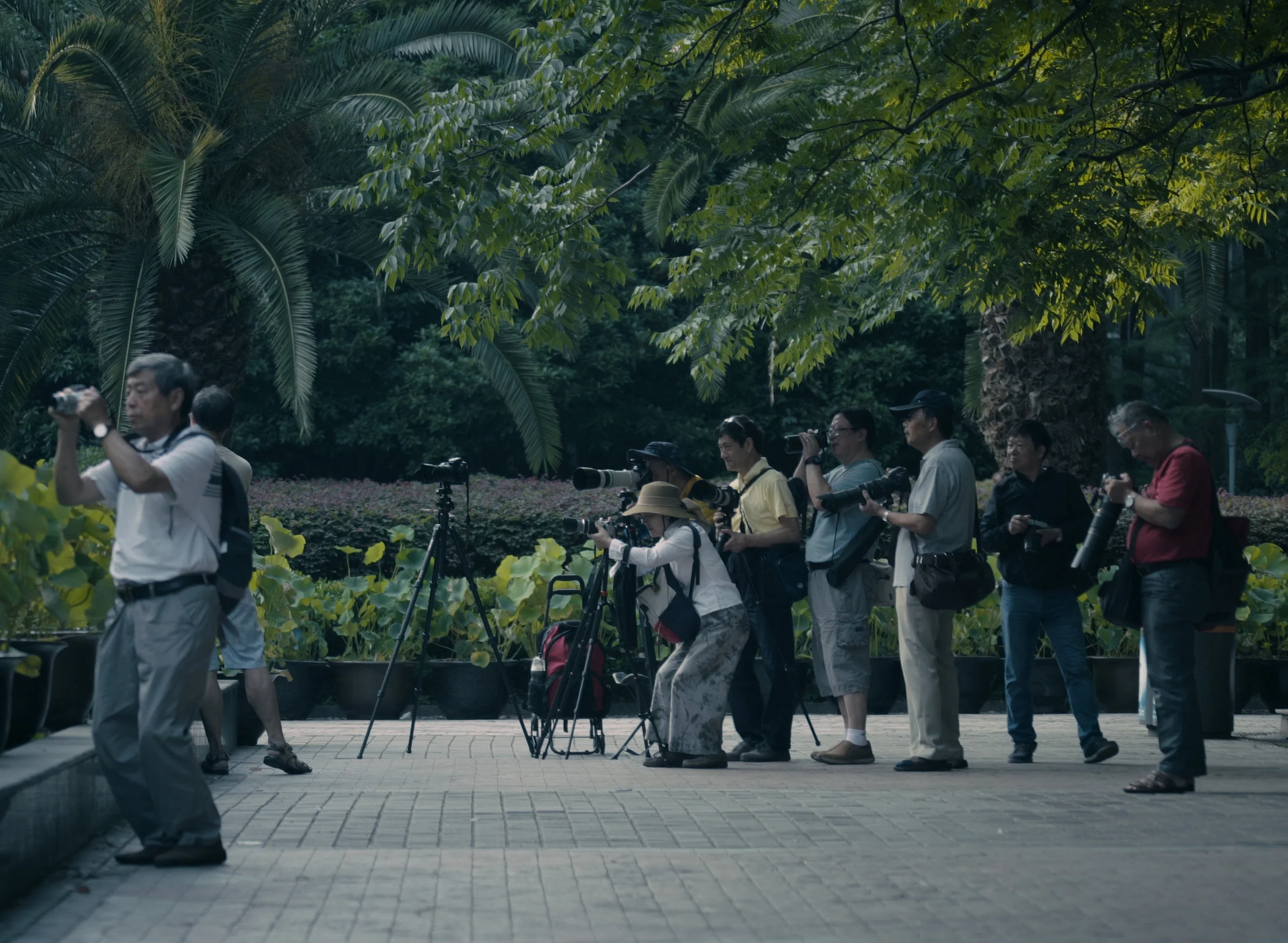Peoples Park_CROPPEDGrab_201.jpg