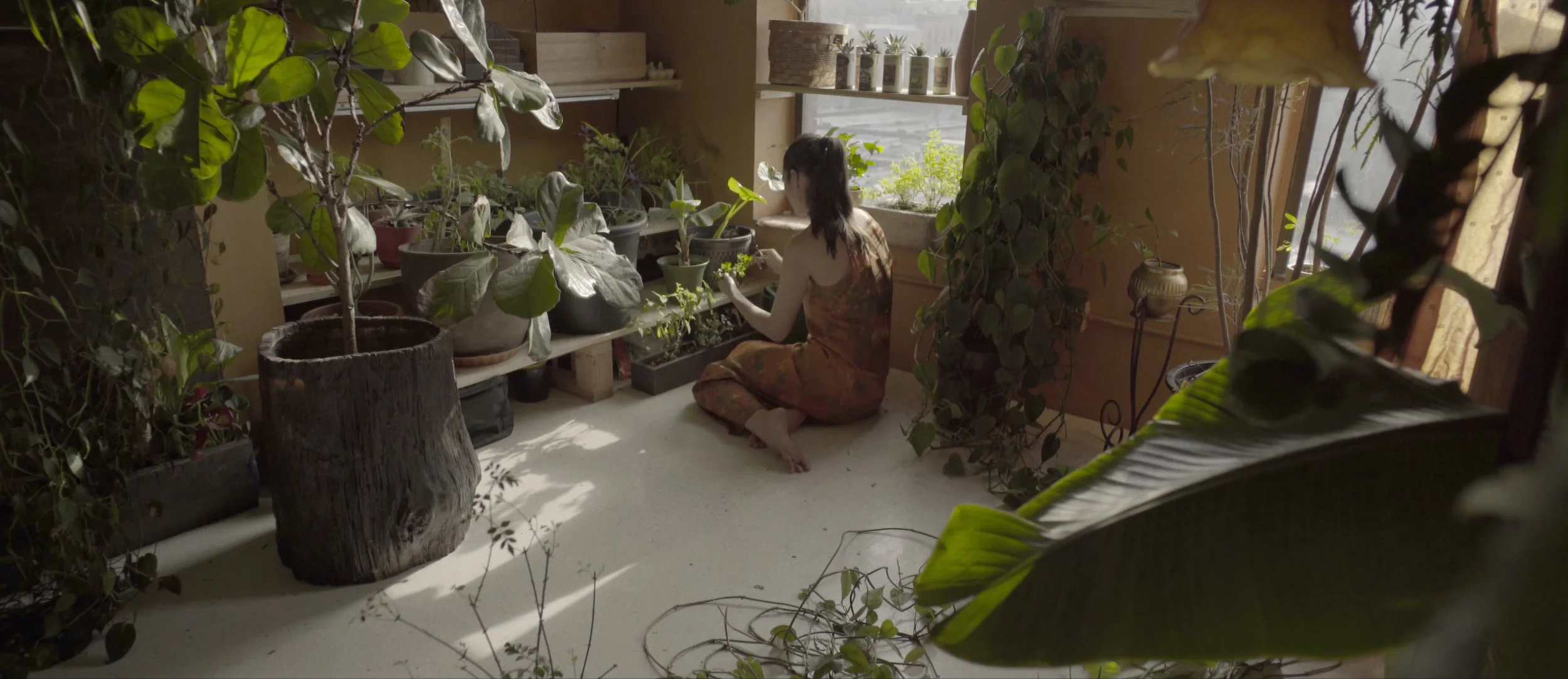 plants.00_00_28_03.still004.jpg