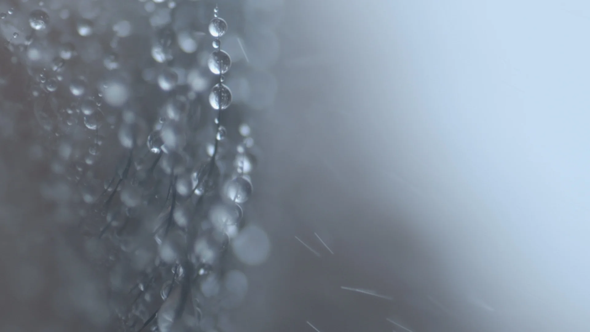 FINAL FINAL FINAL_V4_NEW ENDING_12.13.14 .00_03_33_13.Still047.jpeg