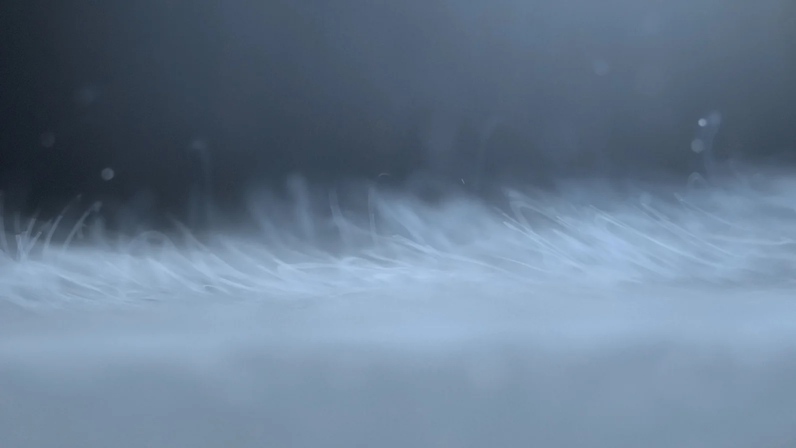 REEL_095.mov.Still001.jpg