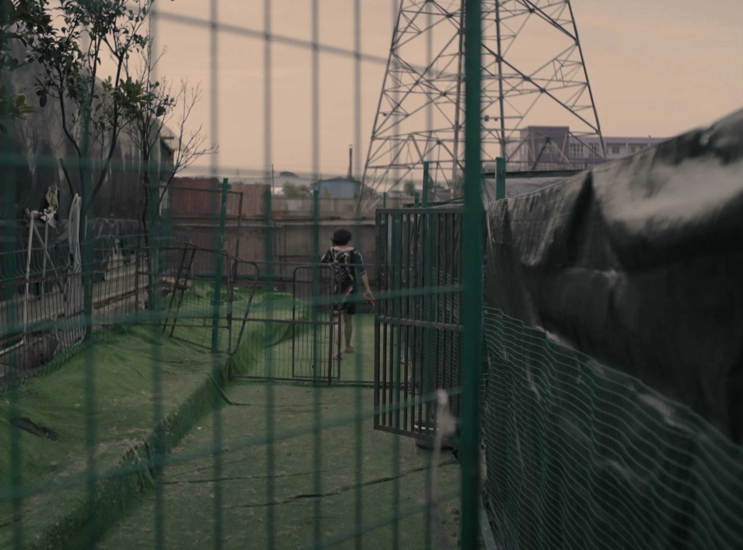 rough cut v5.00_00_28_18.still007.jpg