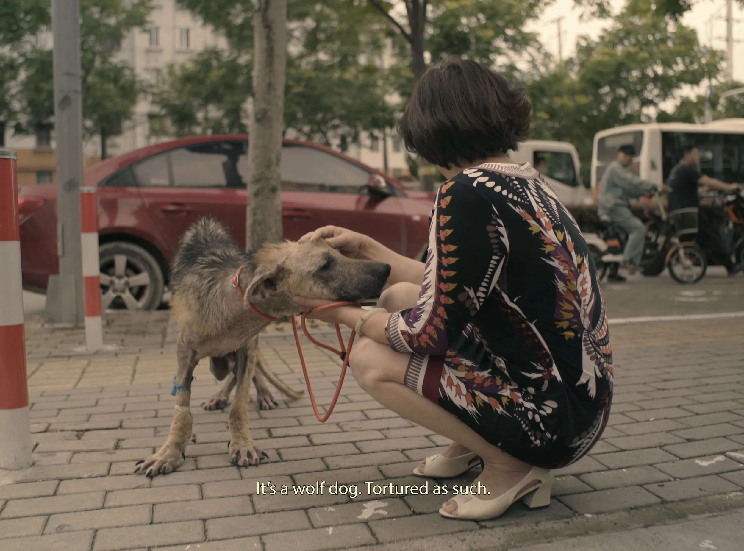 rough cut v5.00_08_45_16.still019.jpg