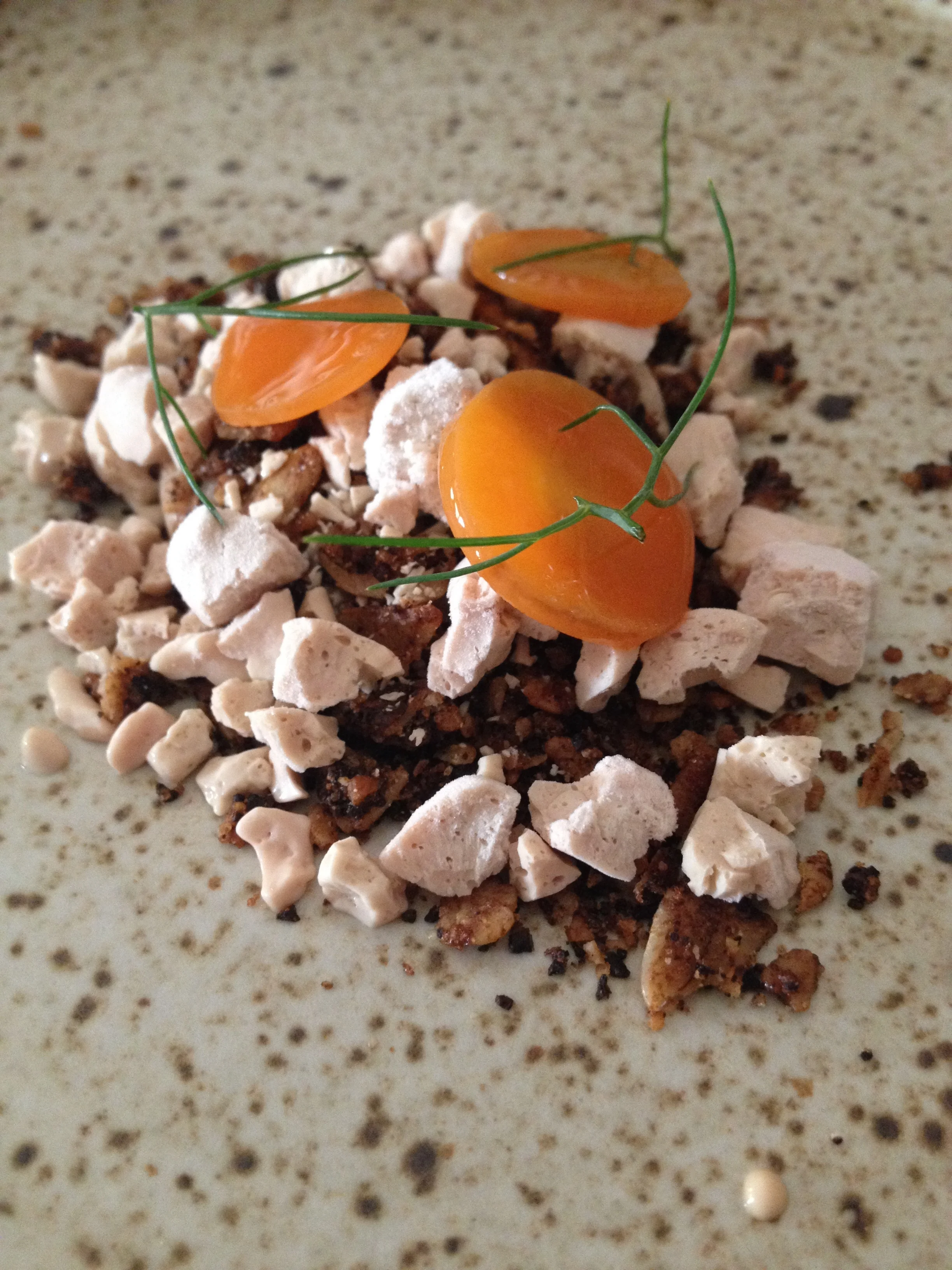Frozen duck liver with carrot and coffee granola.