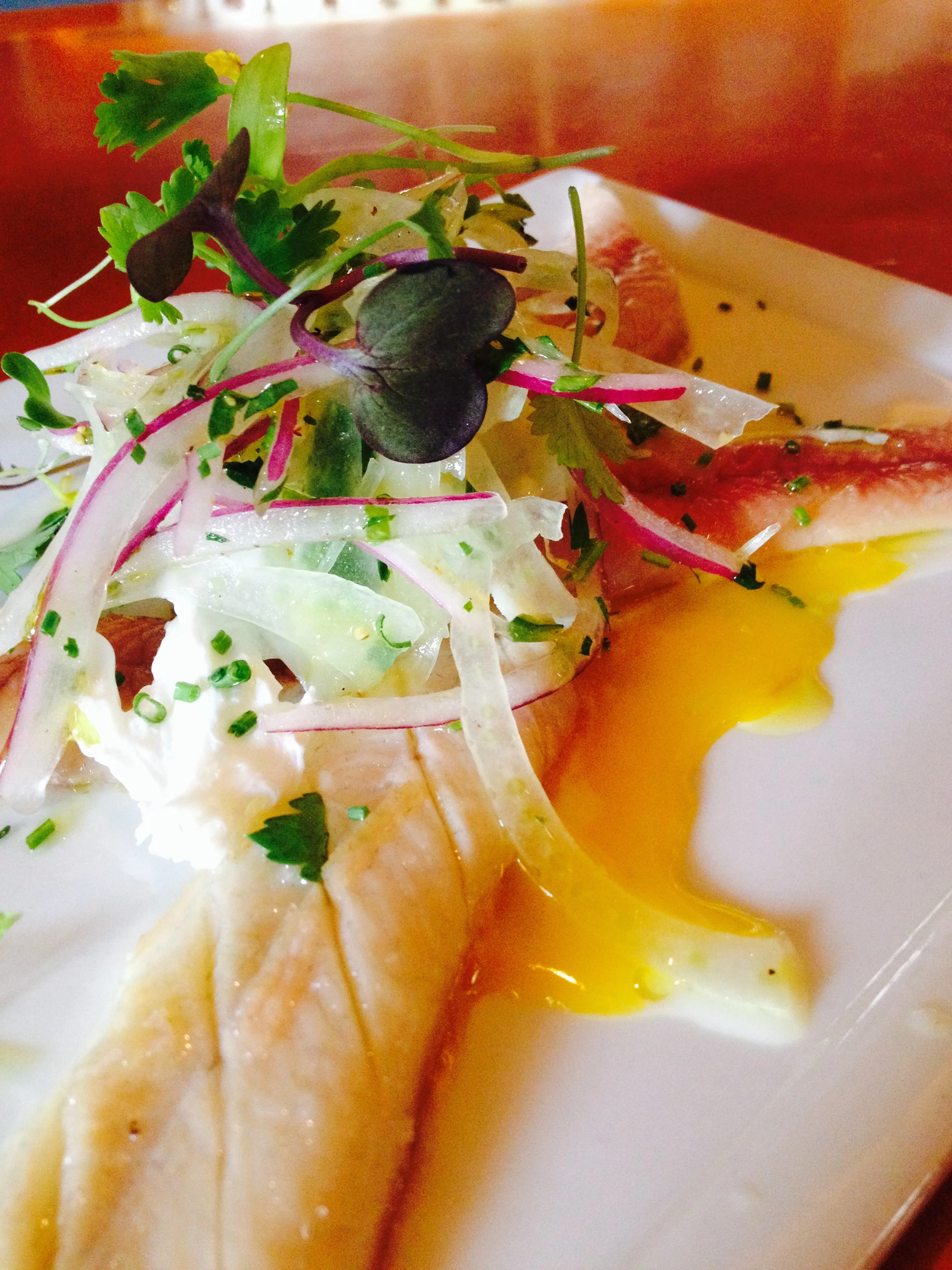 Smoked Eel with poached egg, fennel, and horseradish crème fraîche.