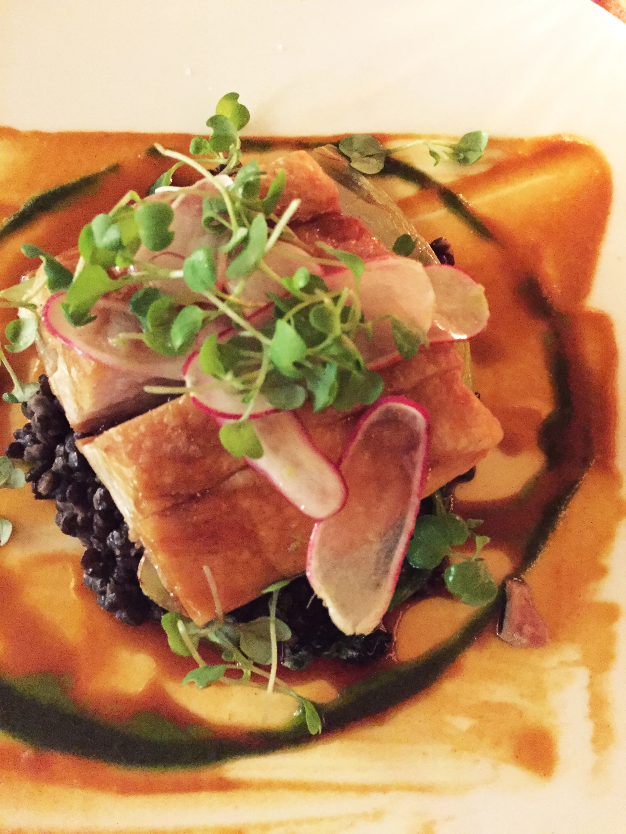 Niman Ranch Braised Pork Belly with creamy beluga lentils, sautéed bok choy, and radish salad.
