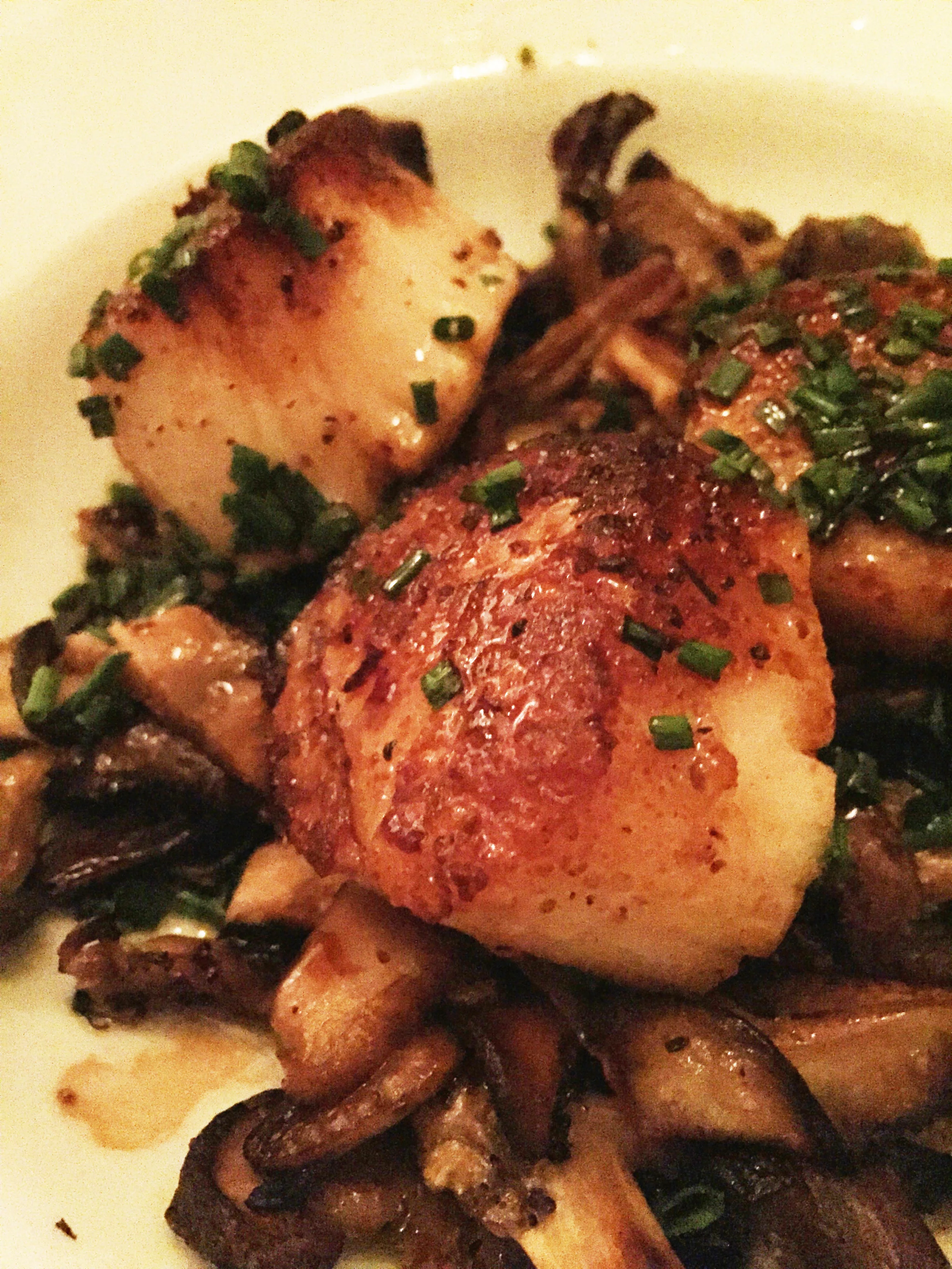 Sauteed Scallops, Mushrooms, Aged Balsamic Vinegar