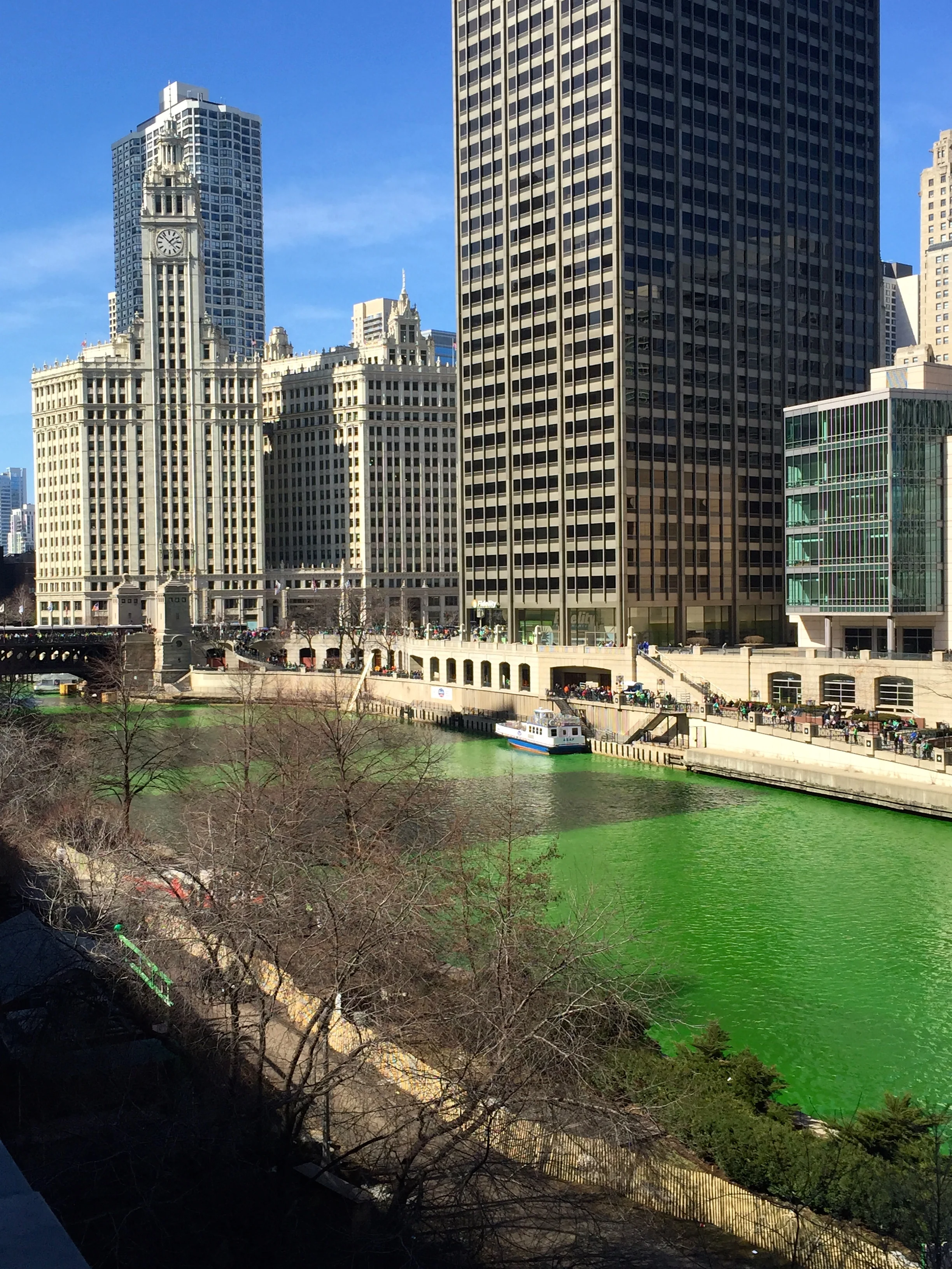 Dyeing the Chicago River green on the Saturday before St. Patrick's Day!