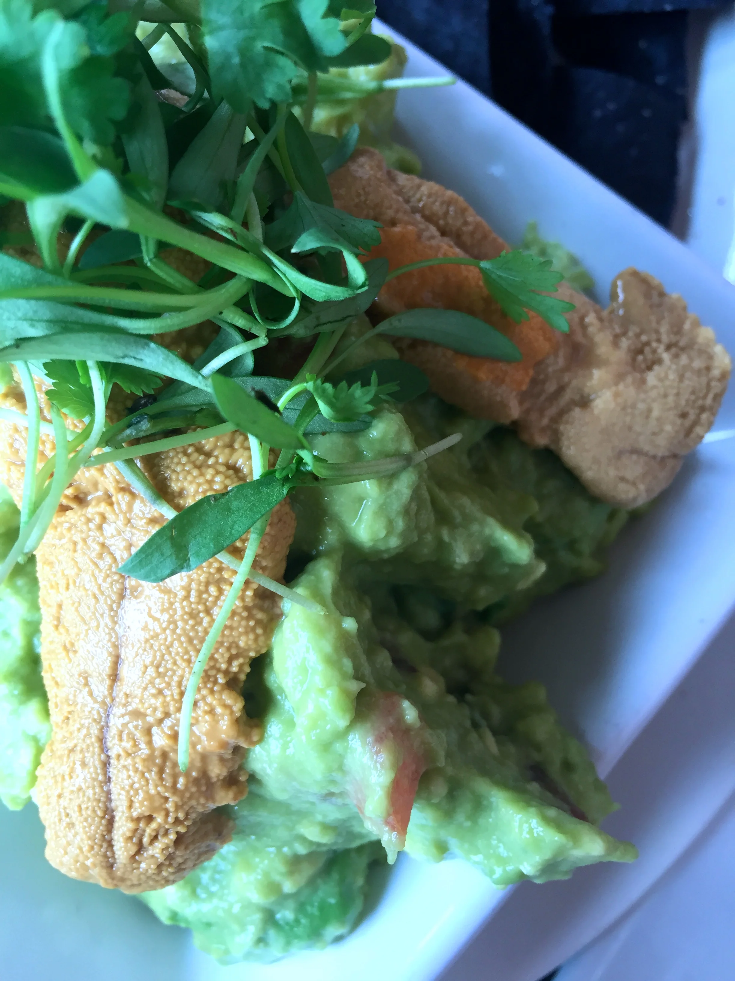 Fresh guacamole with Santa Barbara sea urchin.