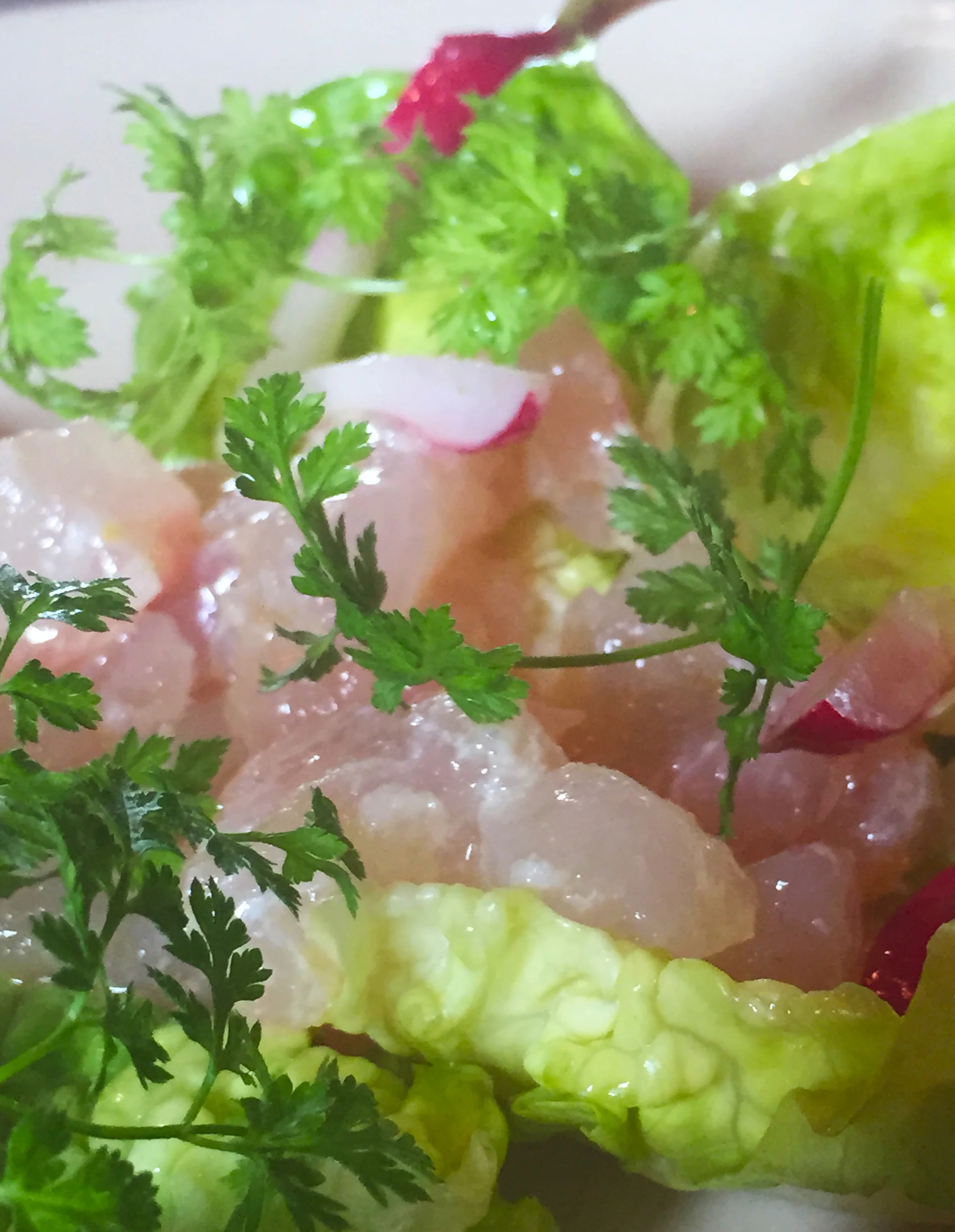 Local halibut tartare with Little Gems lettuce, avocado, and citrus vinaigrette.