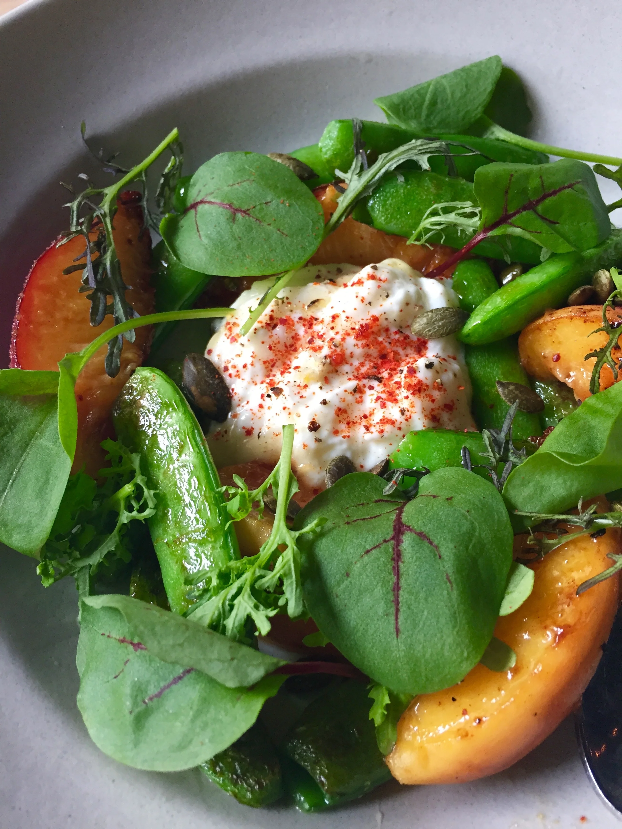 Snap Peas & Peaches with honey, burrata, and toasted pumpkin seeds.