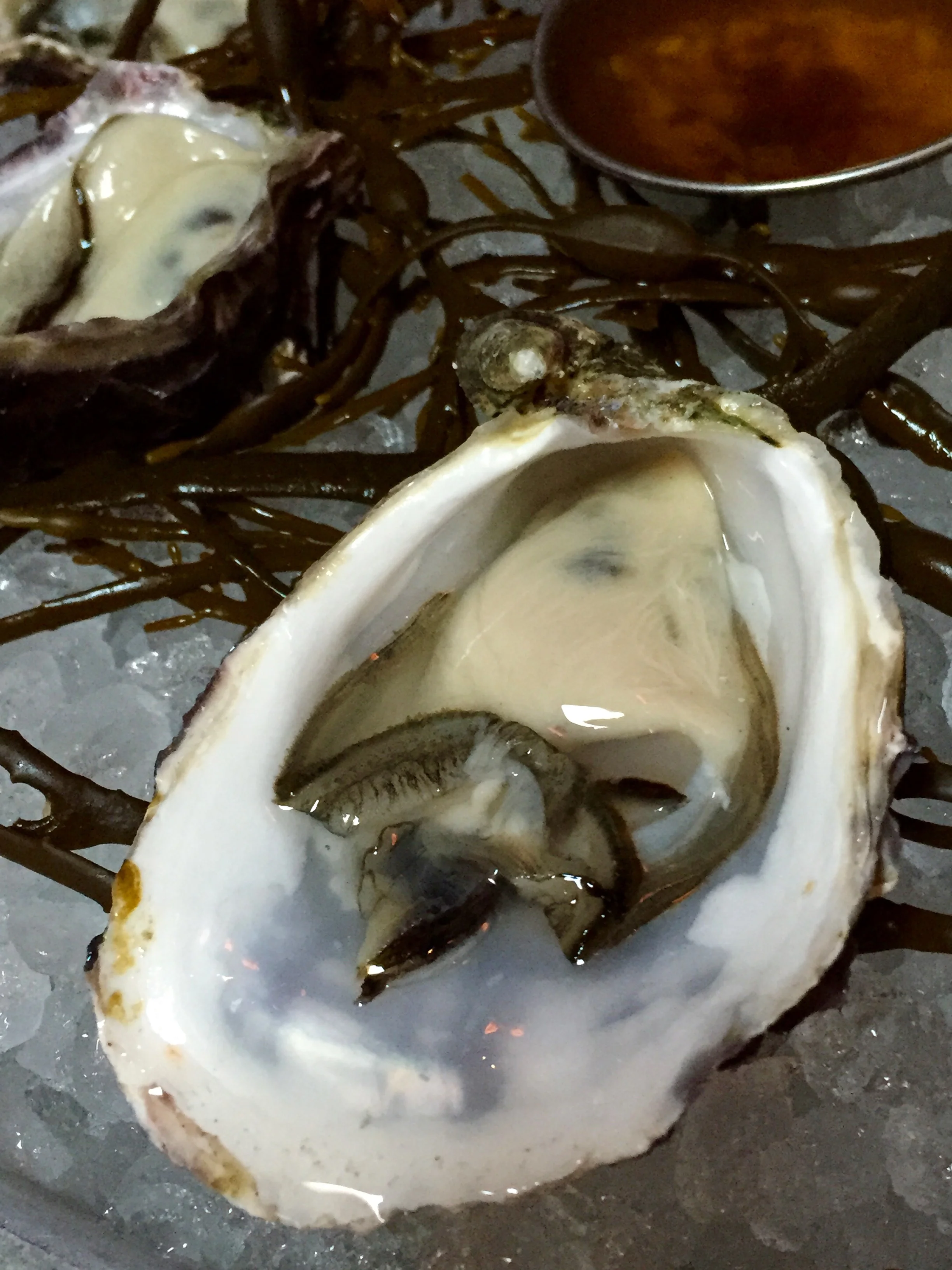 Fresh Kumiai Oysters from Baja California.