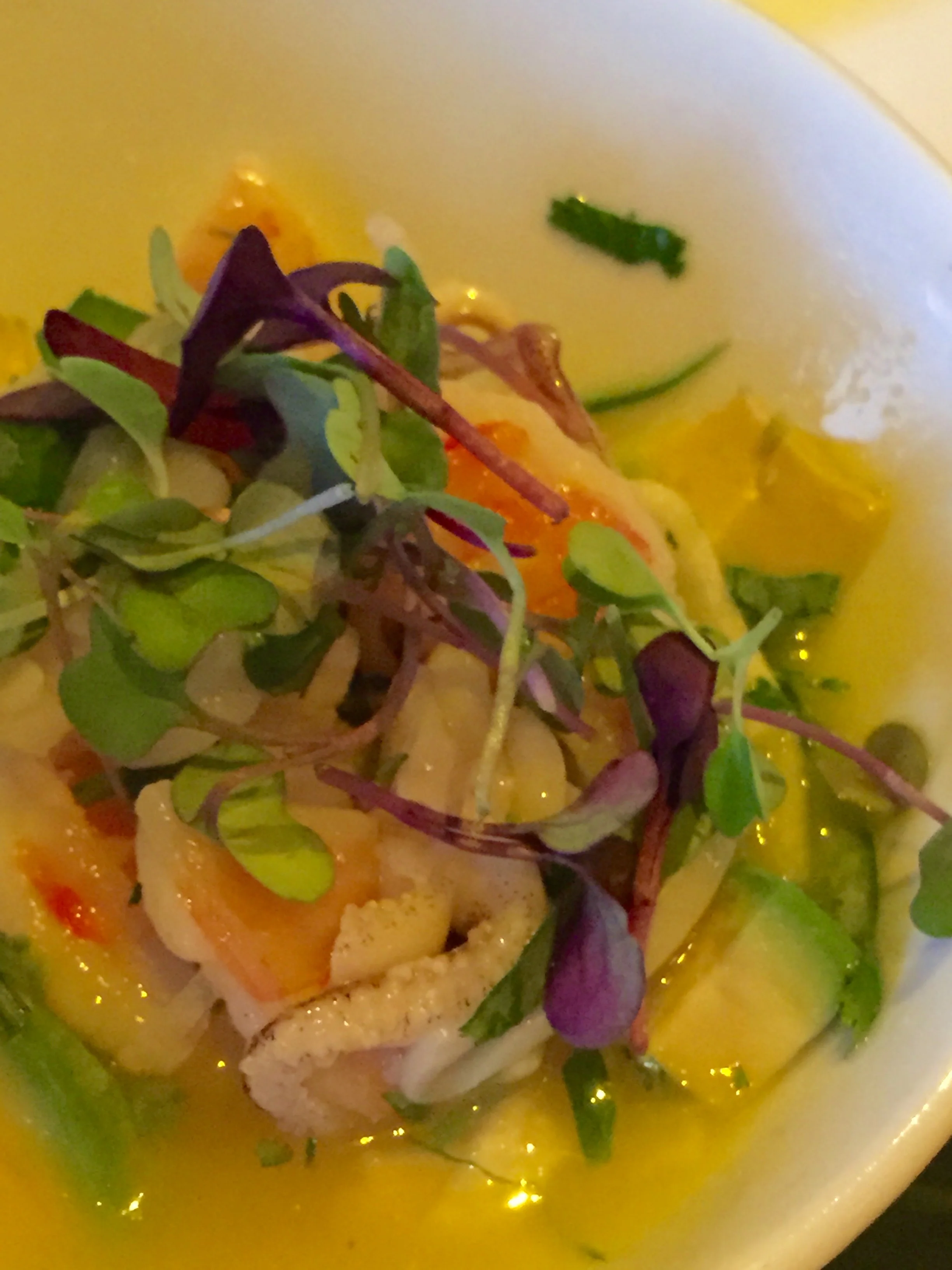 Yucatecan Shrimp & Calamari Ceviche with steamed Mexican white shrimp and calamari, orange, lime, habanero, avocado, jícama, and cilantro.