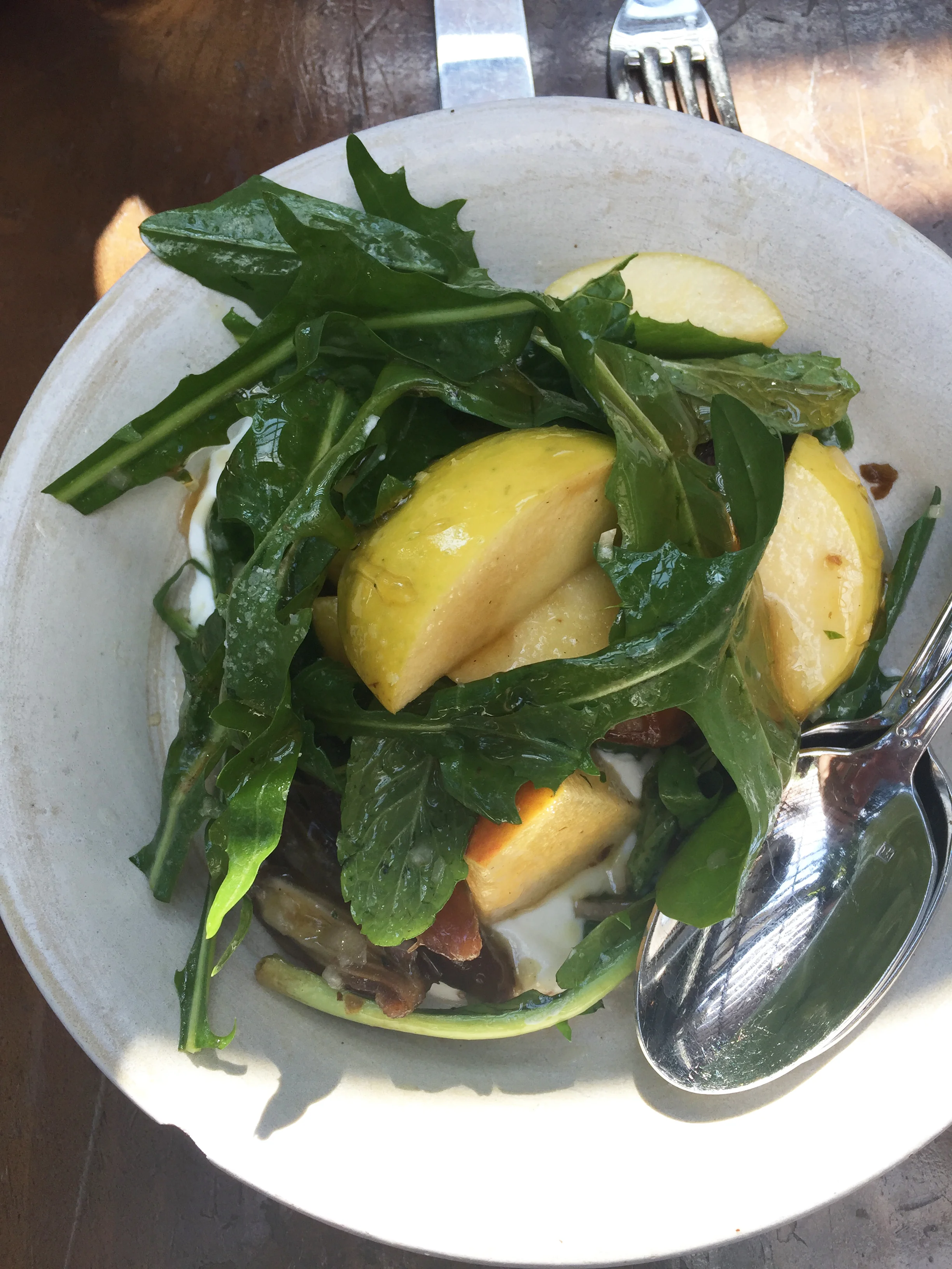 Apple, Deglet Noor date, yogurt, arugula, honey, and mint salad.