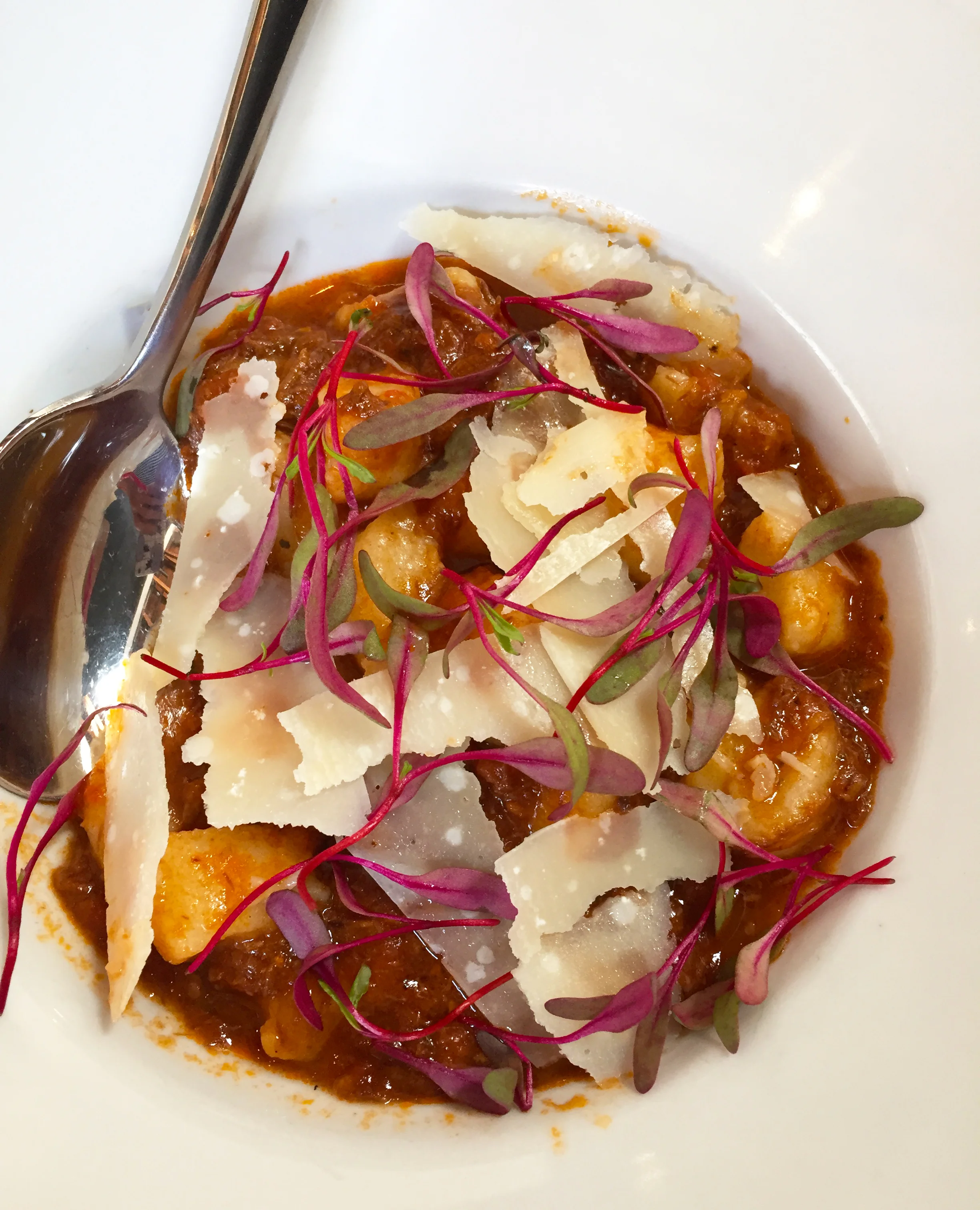 HANDMADE POTATO GNOCCHI with aspen ridge short rib ragu, shaved parmesan, micro greens 