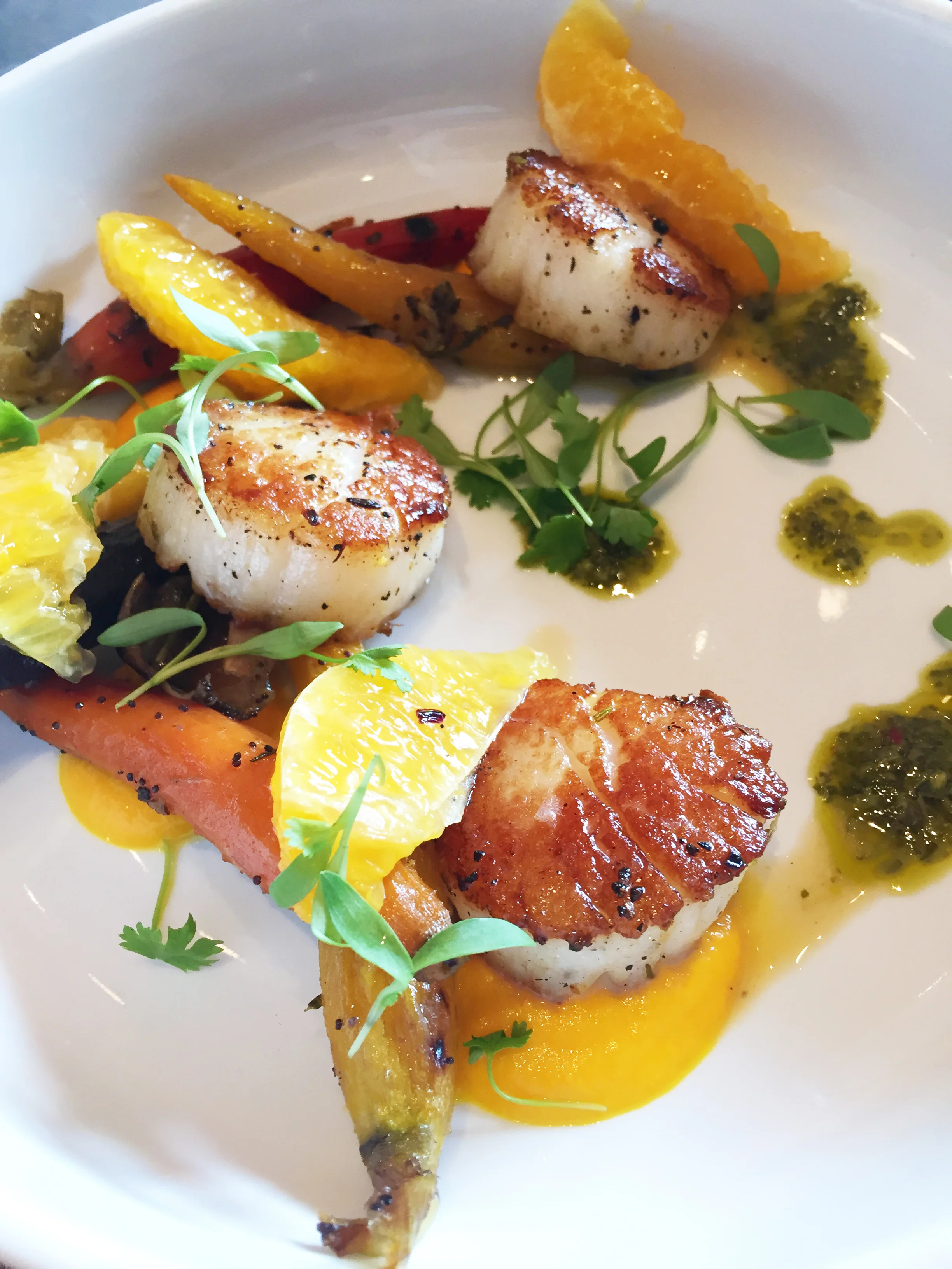 Sea Scallops | honey roasted carrot, orange segment, citrus, charmoula