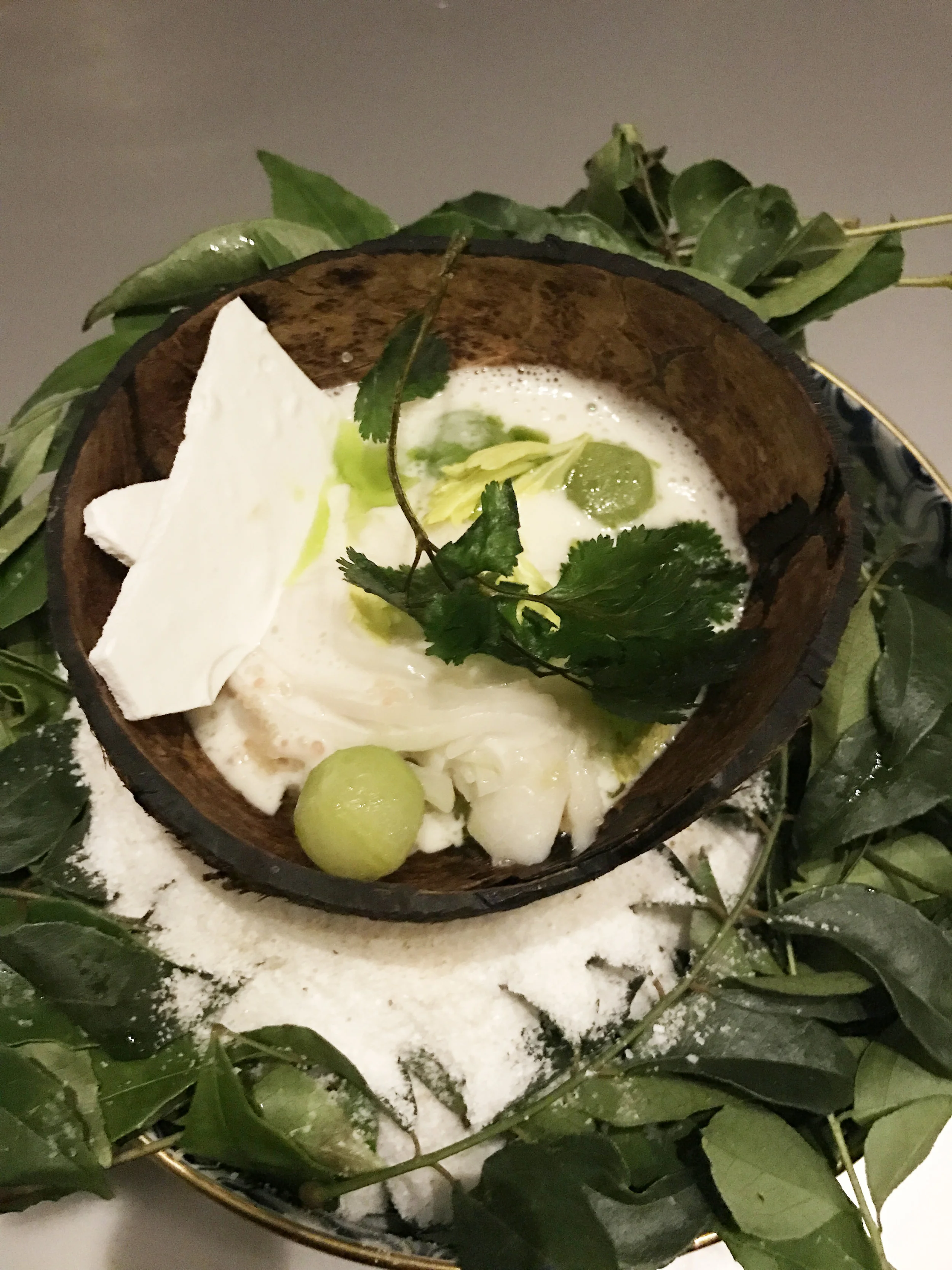 มะพร้าว (COCONUT) - Pompano, Shellfish, Kuzu