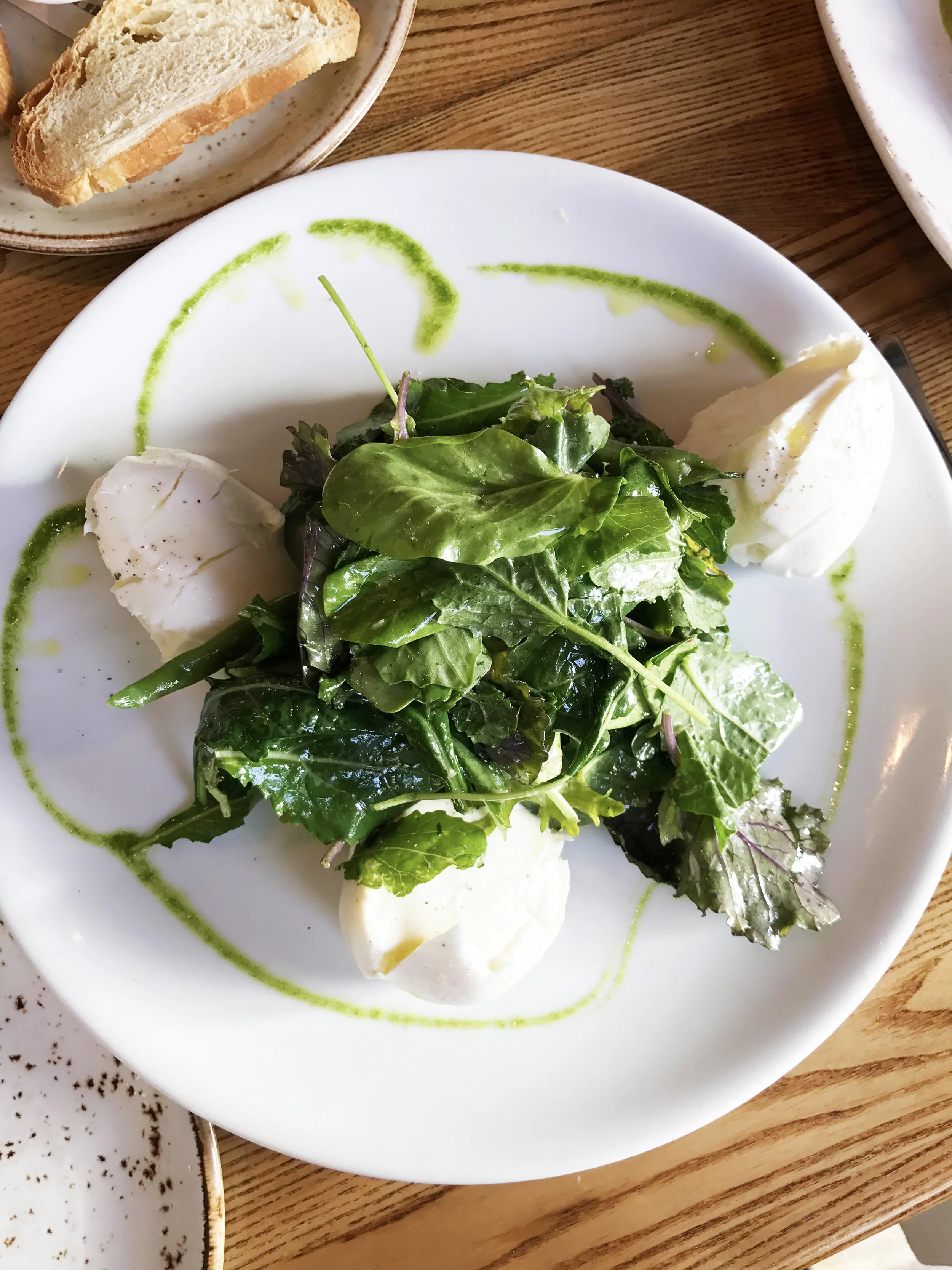 Cremosella - creamy mozzarella, green beans, spring kale-pea tendrils salad, ligurian oil