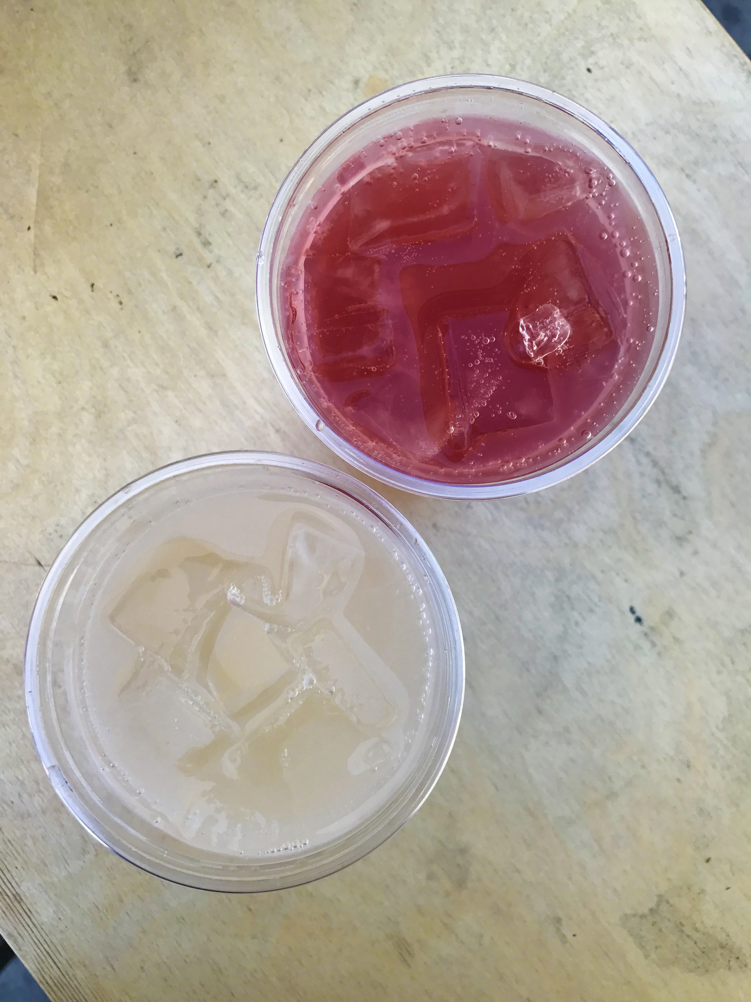Ginger Lemon and Blood Orange tonics
