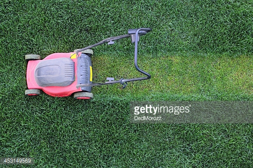 Photo by DedMorozz/iStock / Getty Images