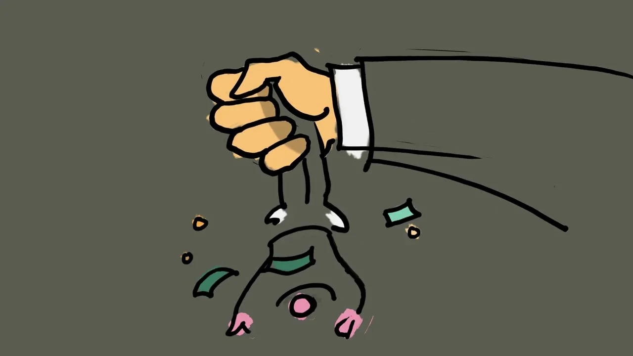 Tax Havens 101: The high cost of going offshore