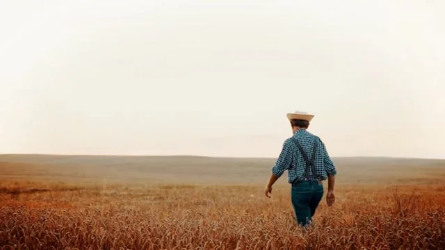 NBC News Graphics Montage