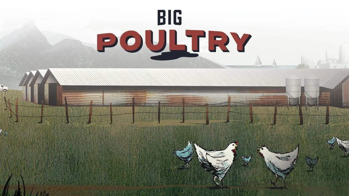 BigPoultry_Day1_Lead.jpg