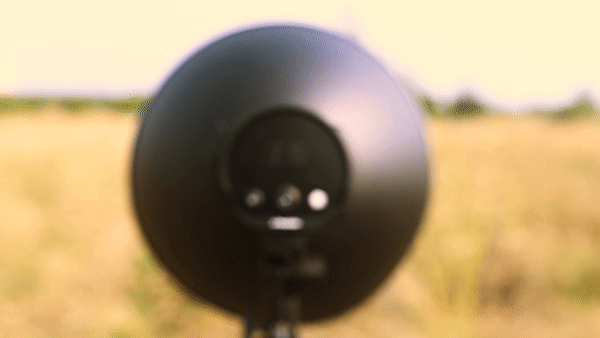 Profoto B10