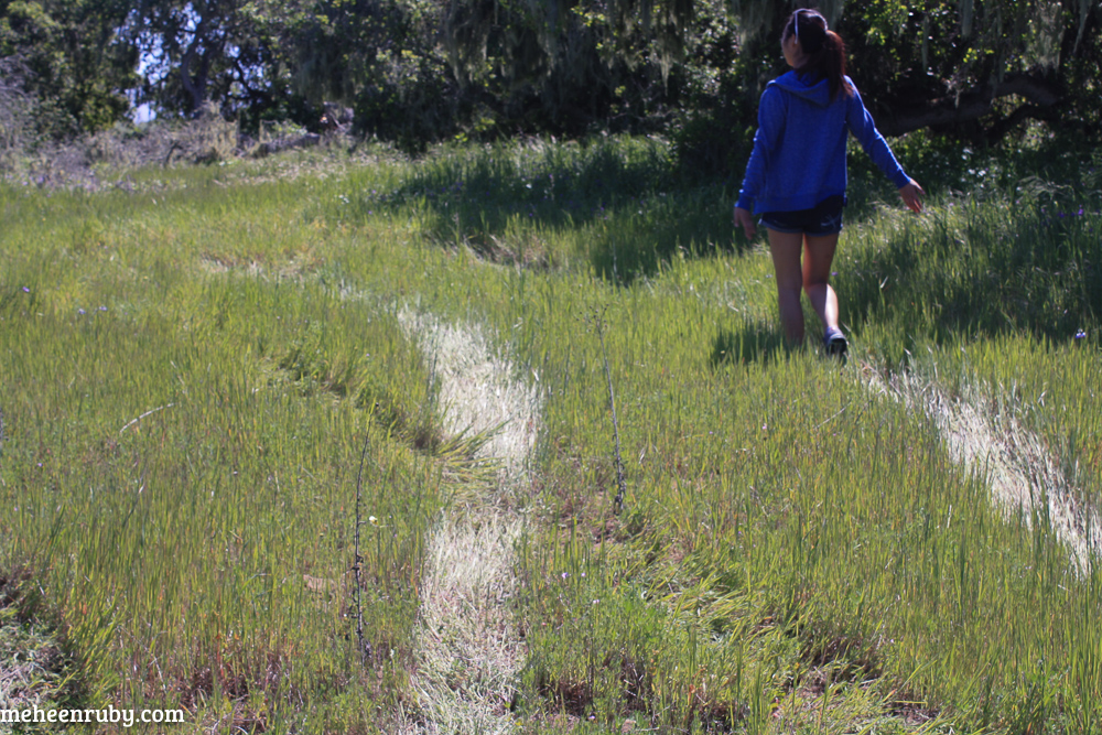 fort ord wildflowers web-3.jpg