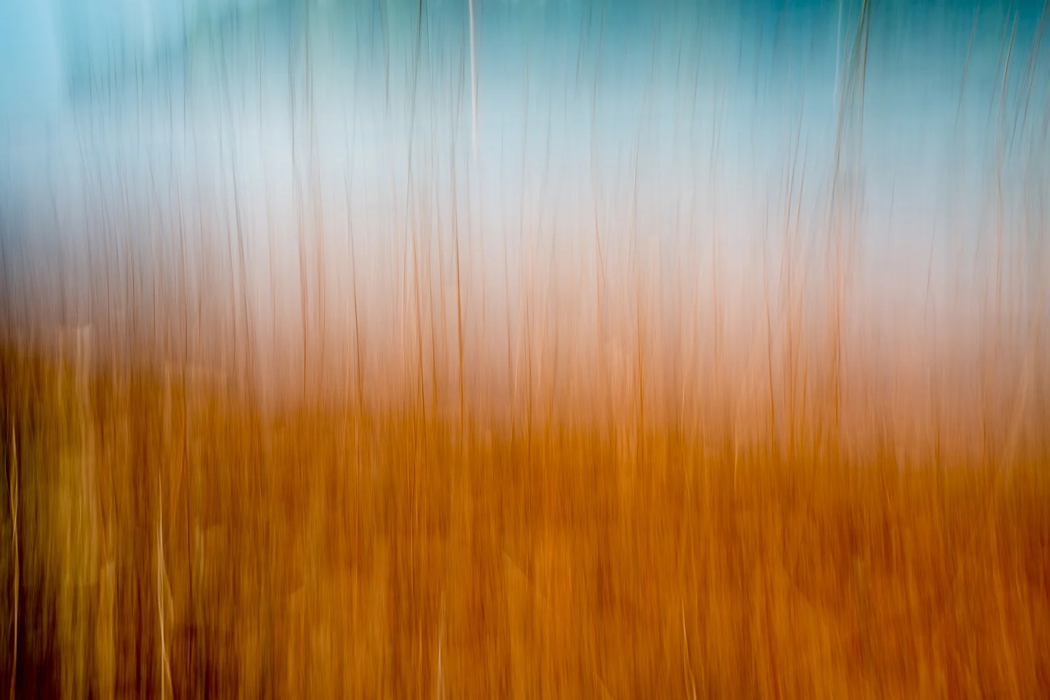 Autumn Grass by the Lake