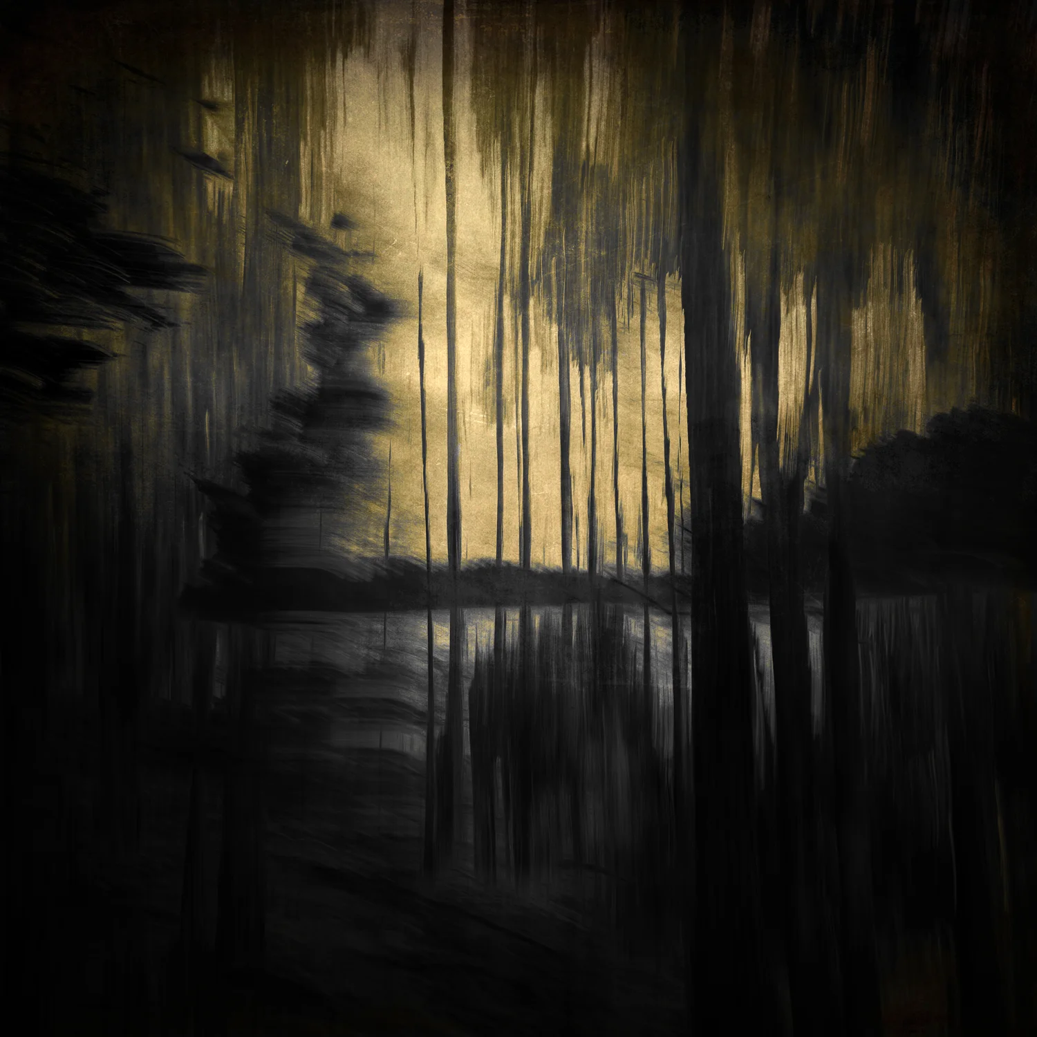 Darkness by the Lake