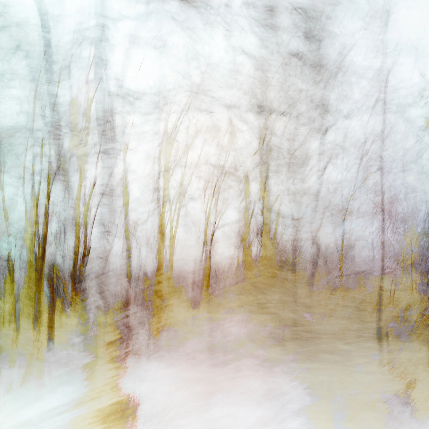 Altered Landscapes #69d.jpg