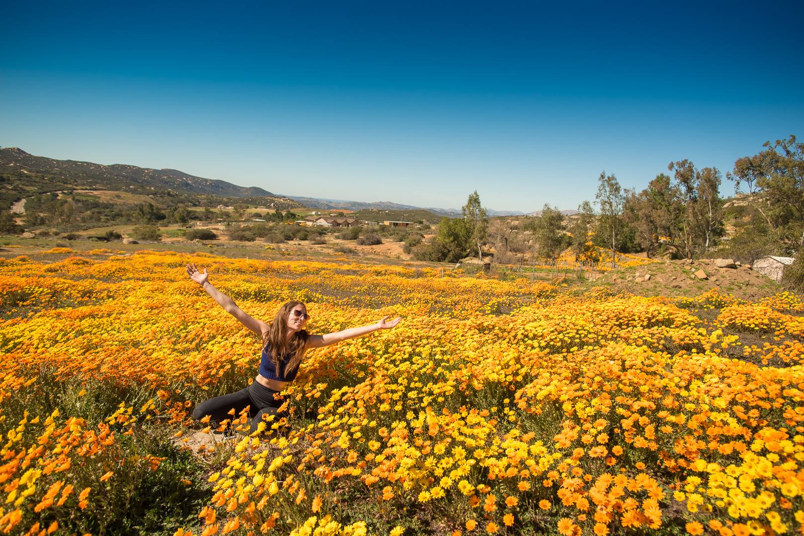 Photo by Bryan Liscinsky
