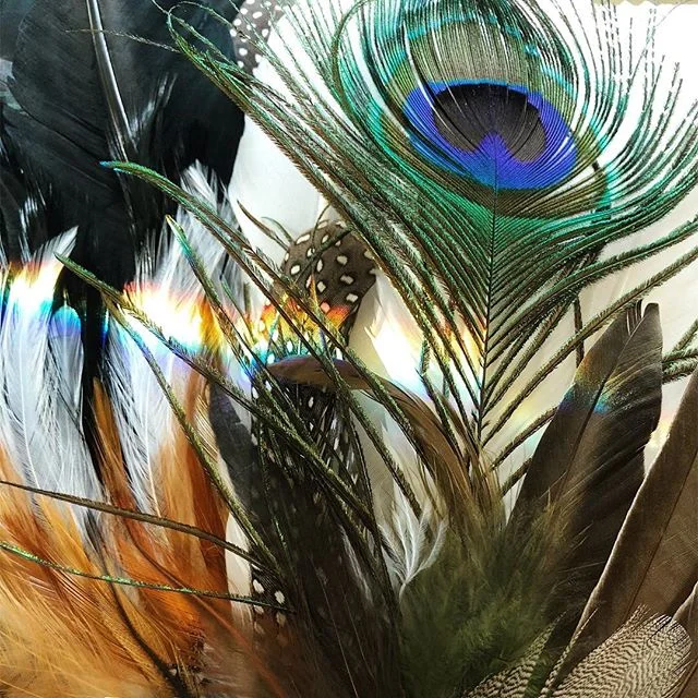 🌈 Smudge feathers charging in rainbow sunlight &amp; ready to work their total lunar eclipse and super blood wolf full moon magic 🌕